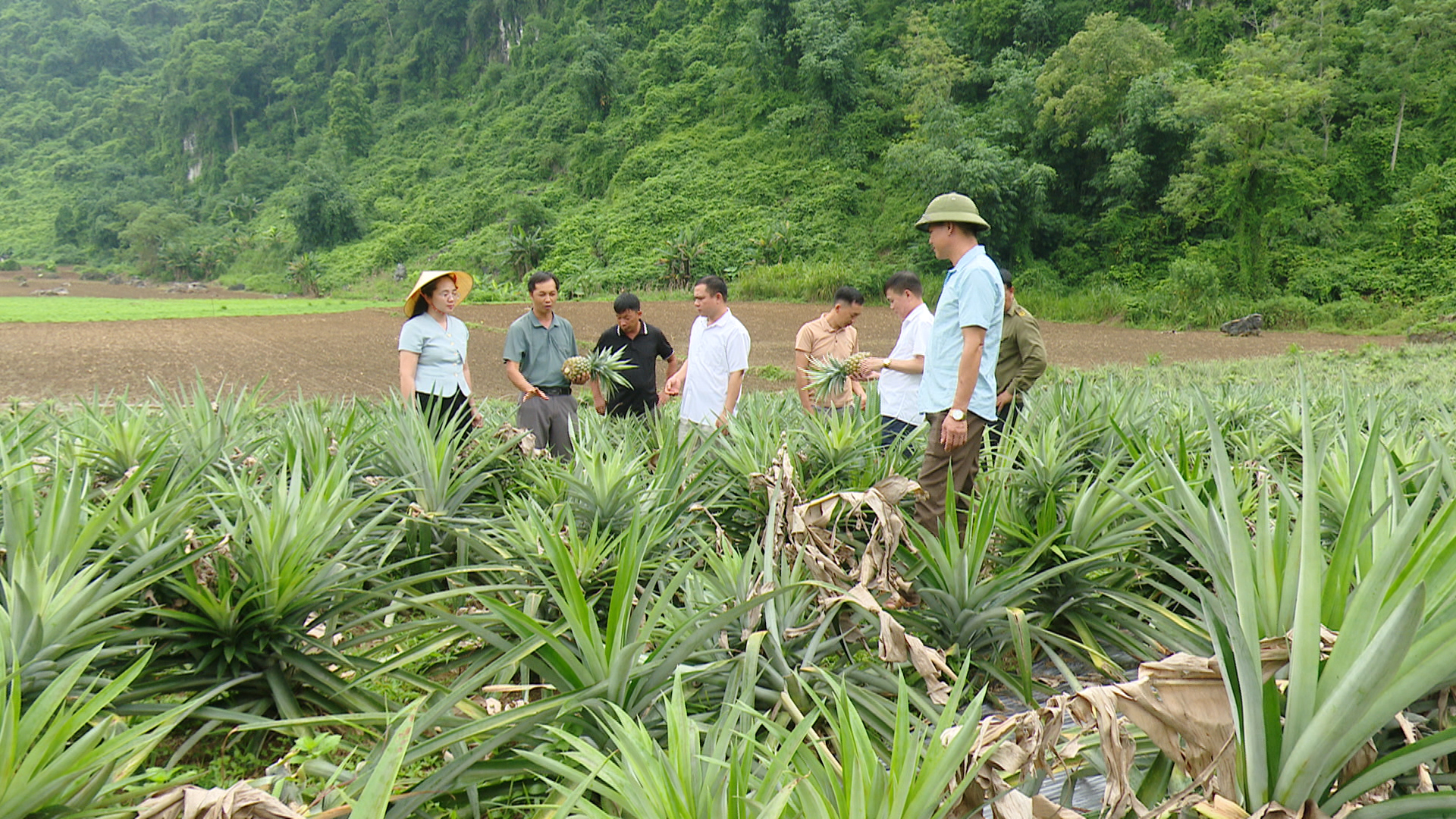 Chủ tịch UBND xã Minh Quang tham quan, khảo sát mô hình phát triển kinh tế trên địa bàn
