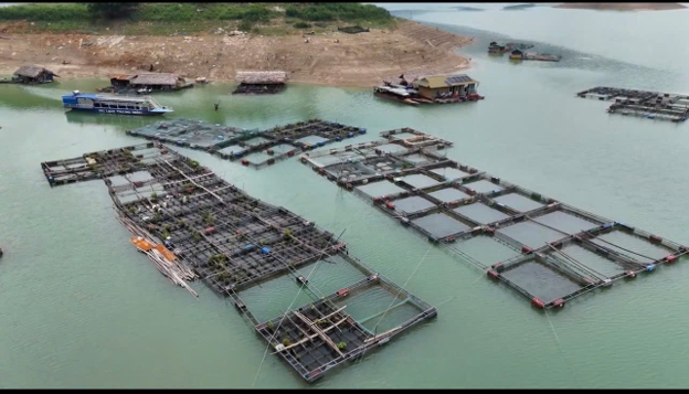 Xã Minh Ngọc đẩy mạnh chuyển đổi cơ cấu cây trồng, vật nuôi, tạo động lực phát triển kinh tế nông nghiệp