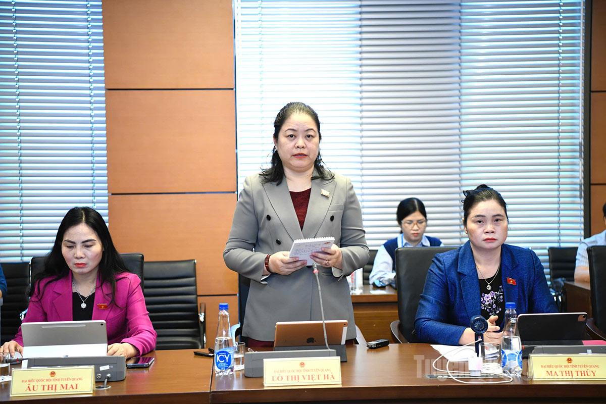 Đại biểu Quốc hội tỉnh đóng góp ý kiến vào các dự án luật trình tại kỳ họp