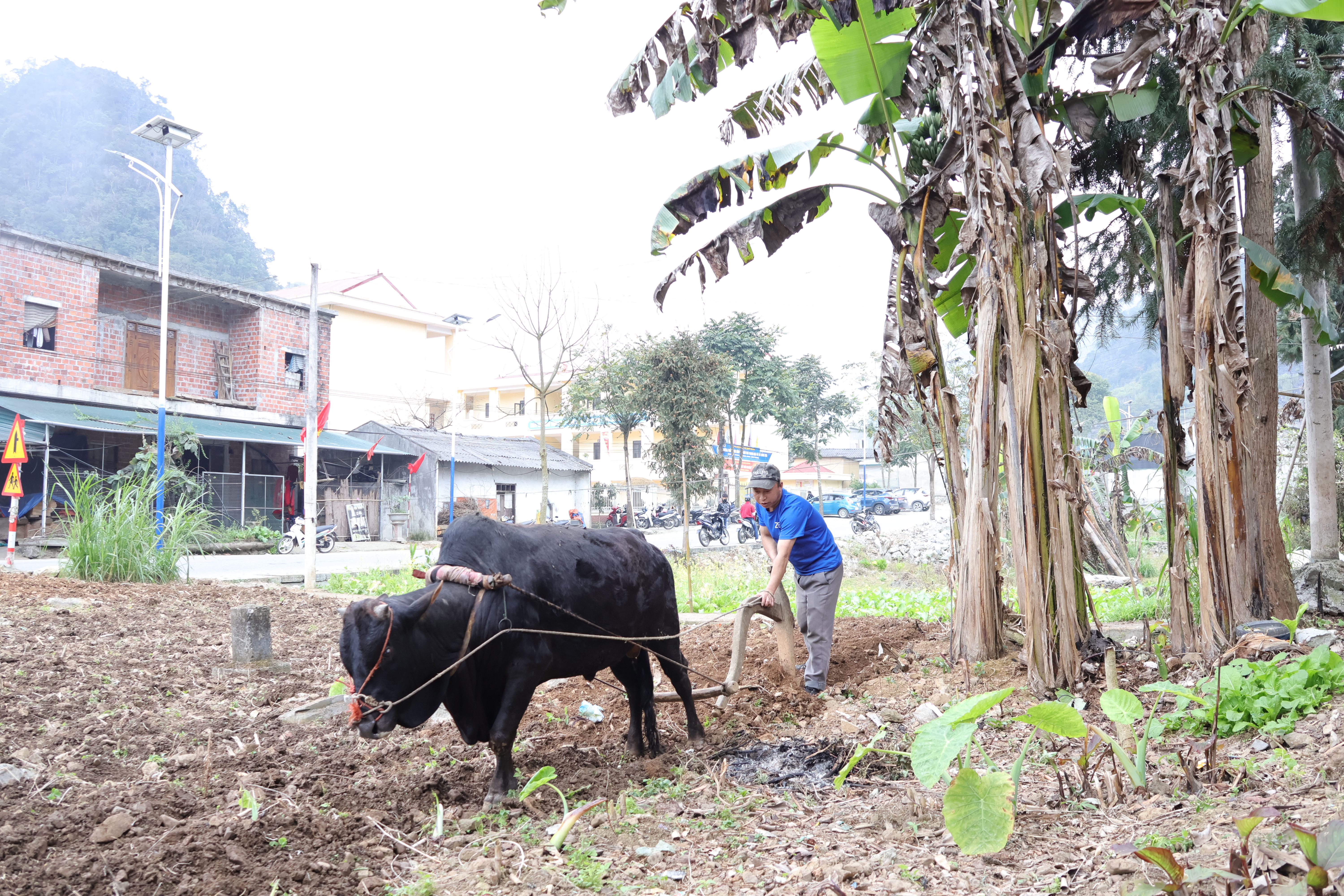 Sủng Máng khẩn trương chuẩn bị đất sản xuất vụ Xuân - Hè năm 2026