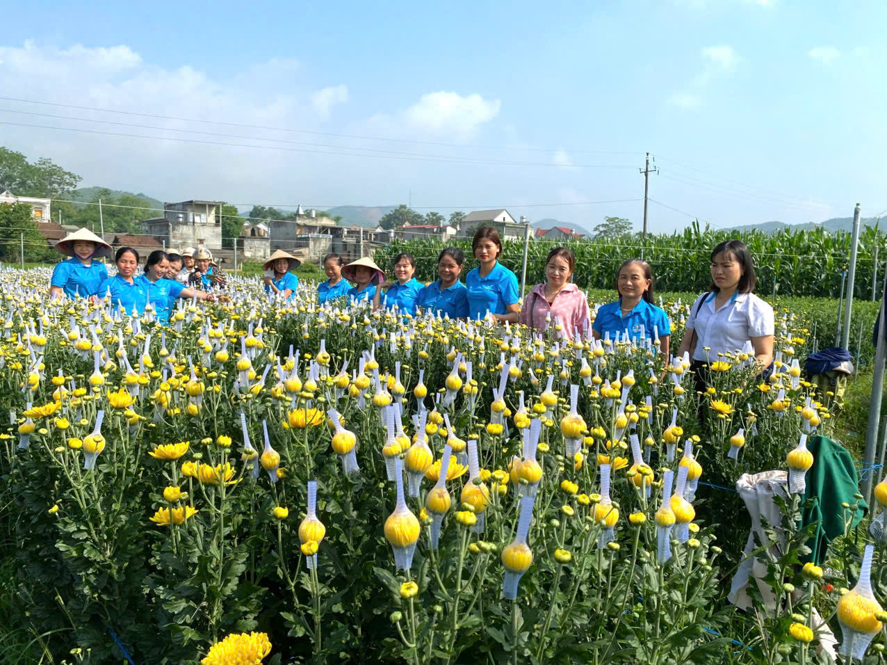 Hội Liên hiệp Phụ nữ xã Thái Hòa tham quan, học tập kinh nghiệm