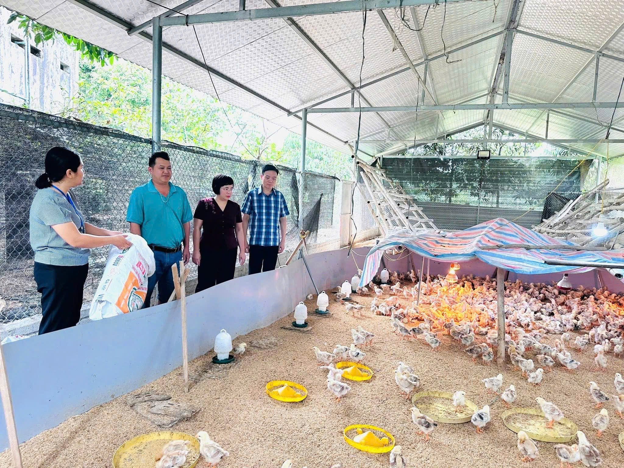 LÃNH ĐẠO XÃ VIỆT LÂM THĂM MÔ HÌNH NUÔI GÀ TẠI THÔN CHANG