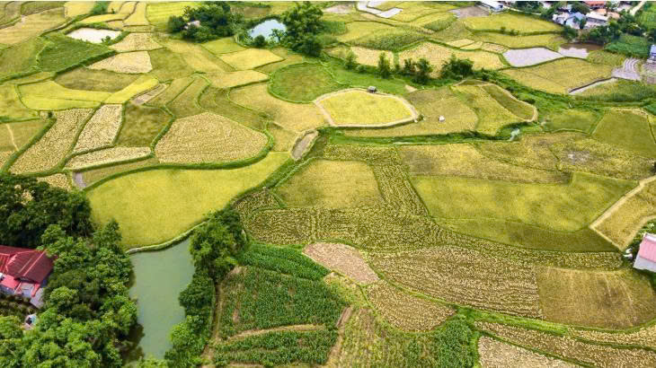 Tuyên Quang sau sáp nhập: Hành trình khám phá thanh âm đại ngàn hòa cùng miền đá nở hoa