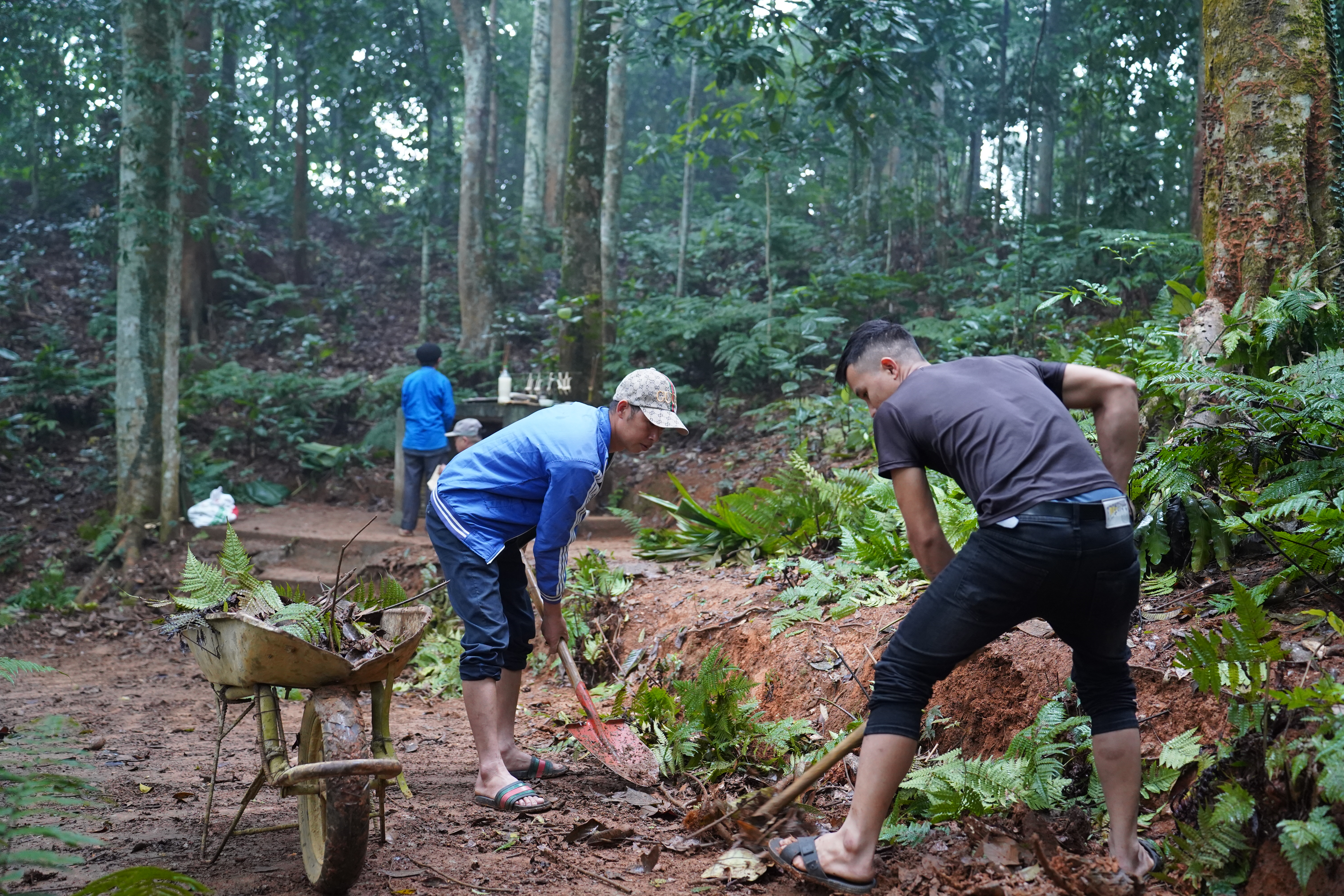 C&uacute;ng rừng 2.JPG