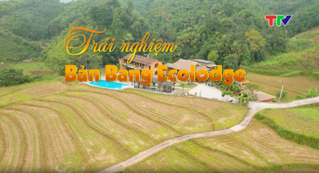 452d392a5044d91bc3f9ceed0ff9f6a2