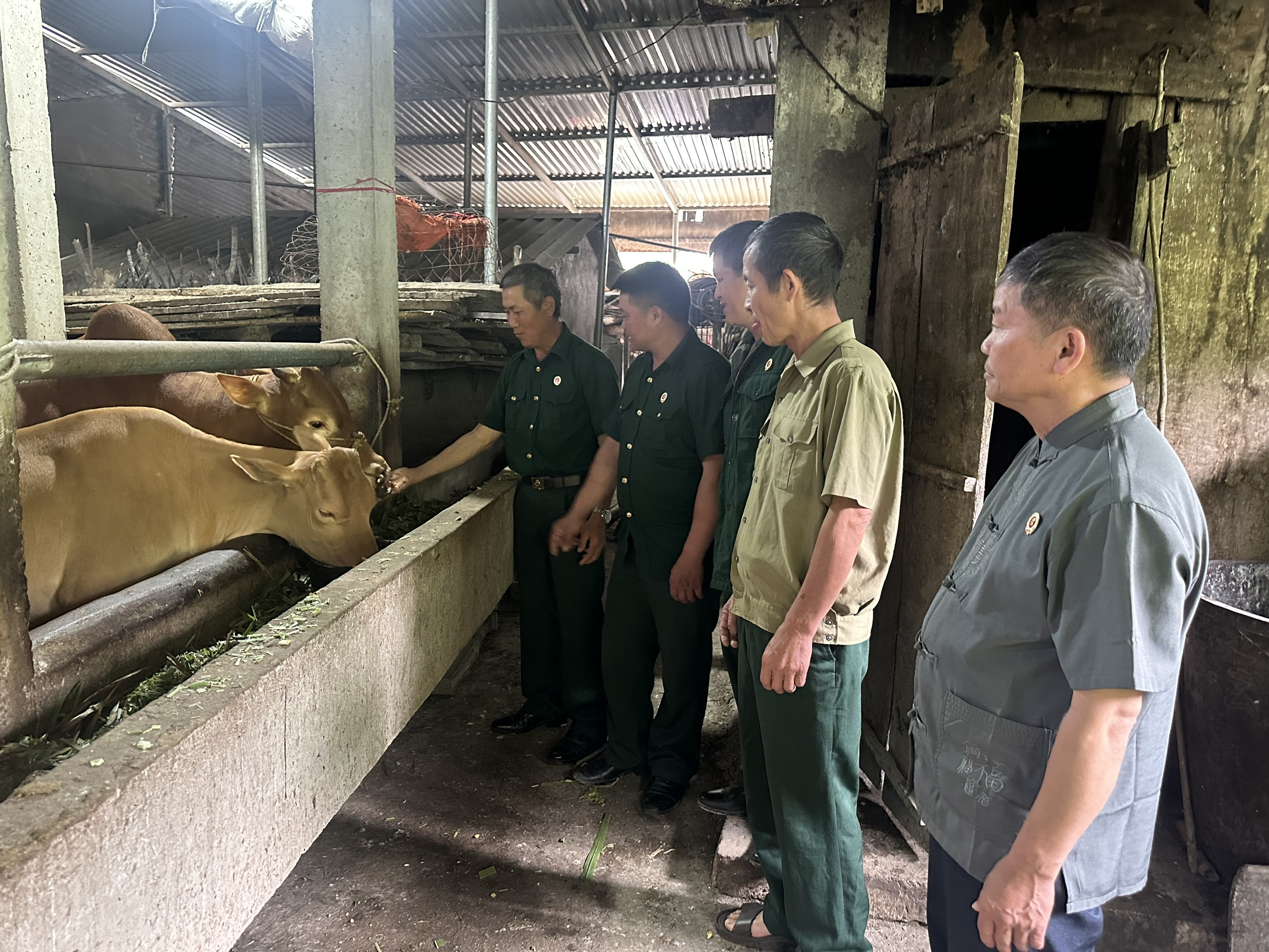 Thương binh Dương Đức Thắng vượt lên thương tật, phát triển kinh tế gia 