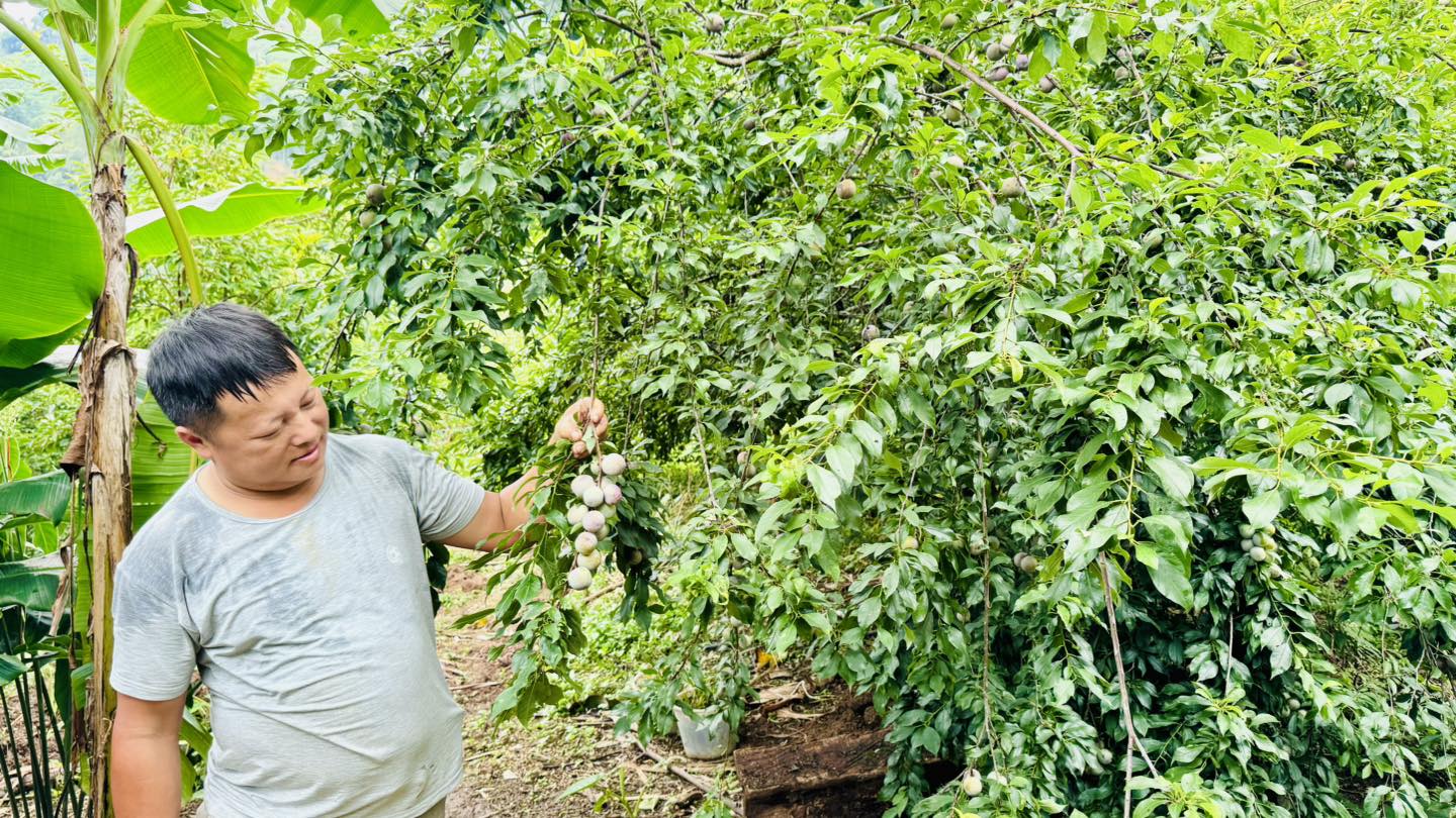GƯƠNG TRƯỞNG THÔN GƯƠNG MẪU LÀM KINH TẾ GIỎI
