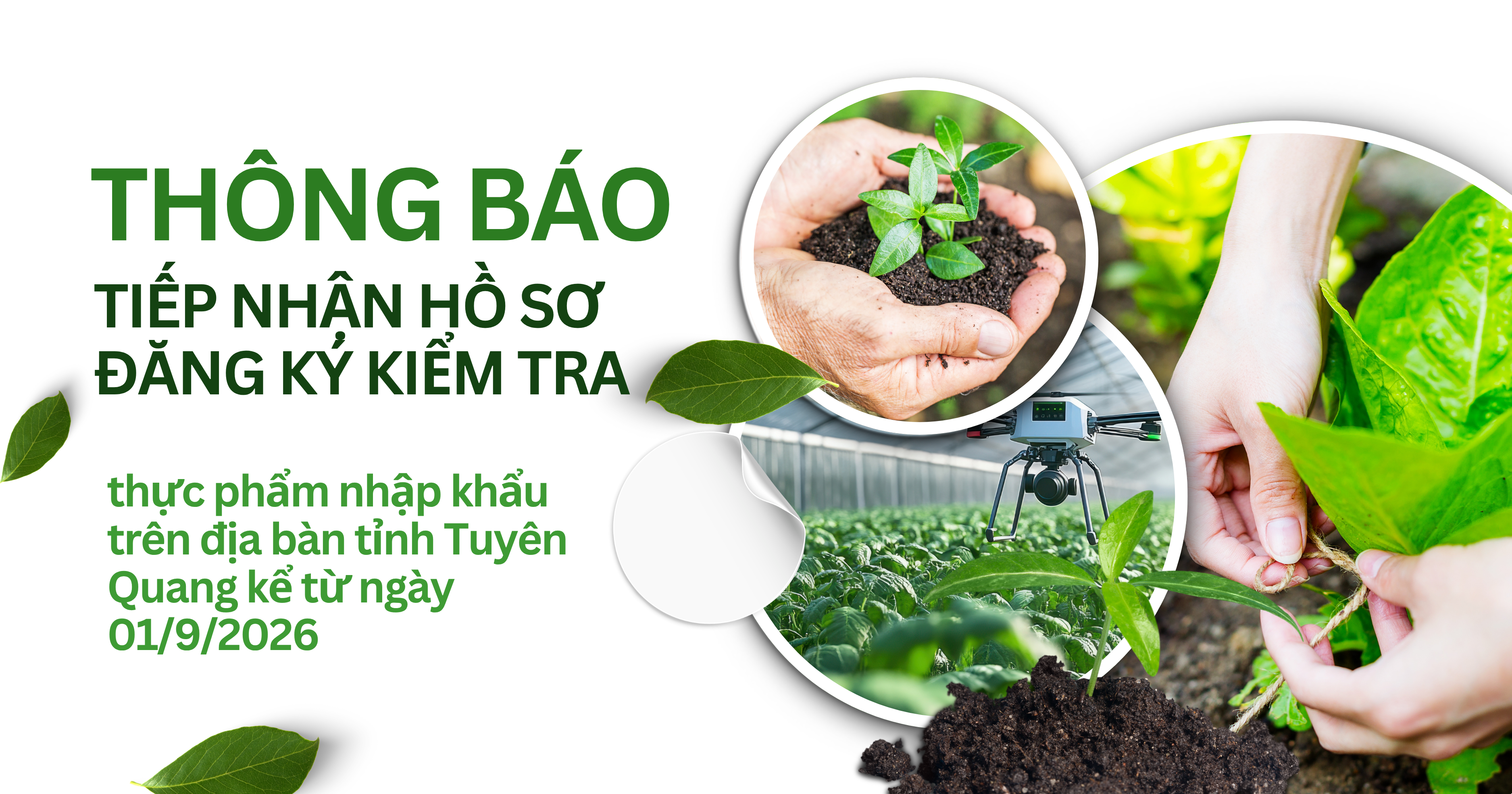 Thông báo tiếp nhận hồ sơ đăng ký kiểm tra thực phẩm nhập khẩu trên địa bàn tỉnh Tuyên Quang kể từ ngày 01/9/2026.