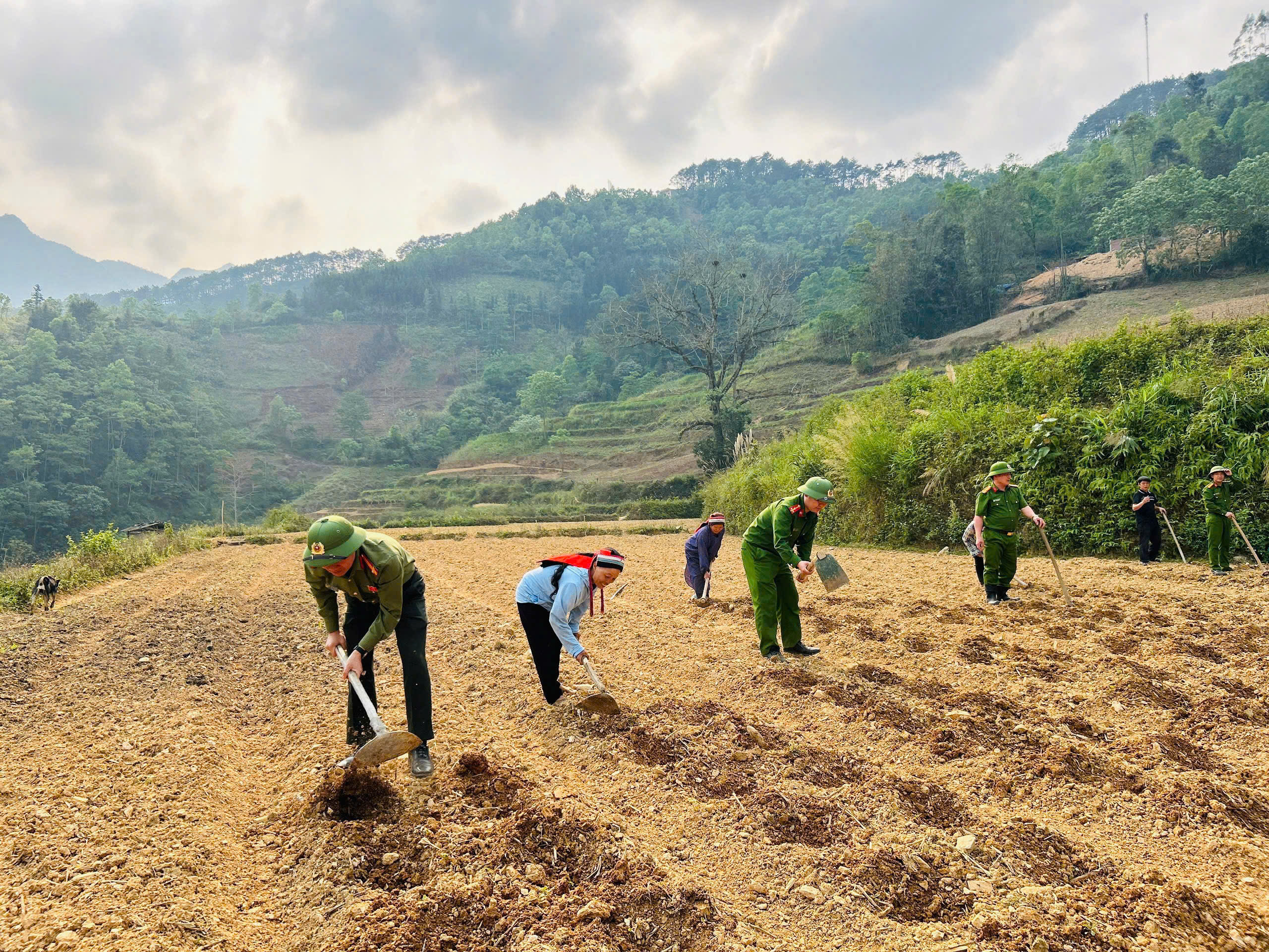 DẤU ẤN PHONG TRÀO THI ĐUA BA NHẤT QUA CÁC MÔ HÌNH DÂN VẬN KHÉO