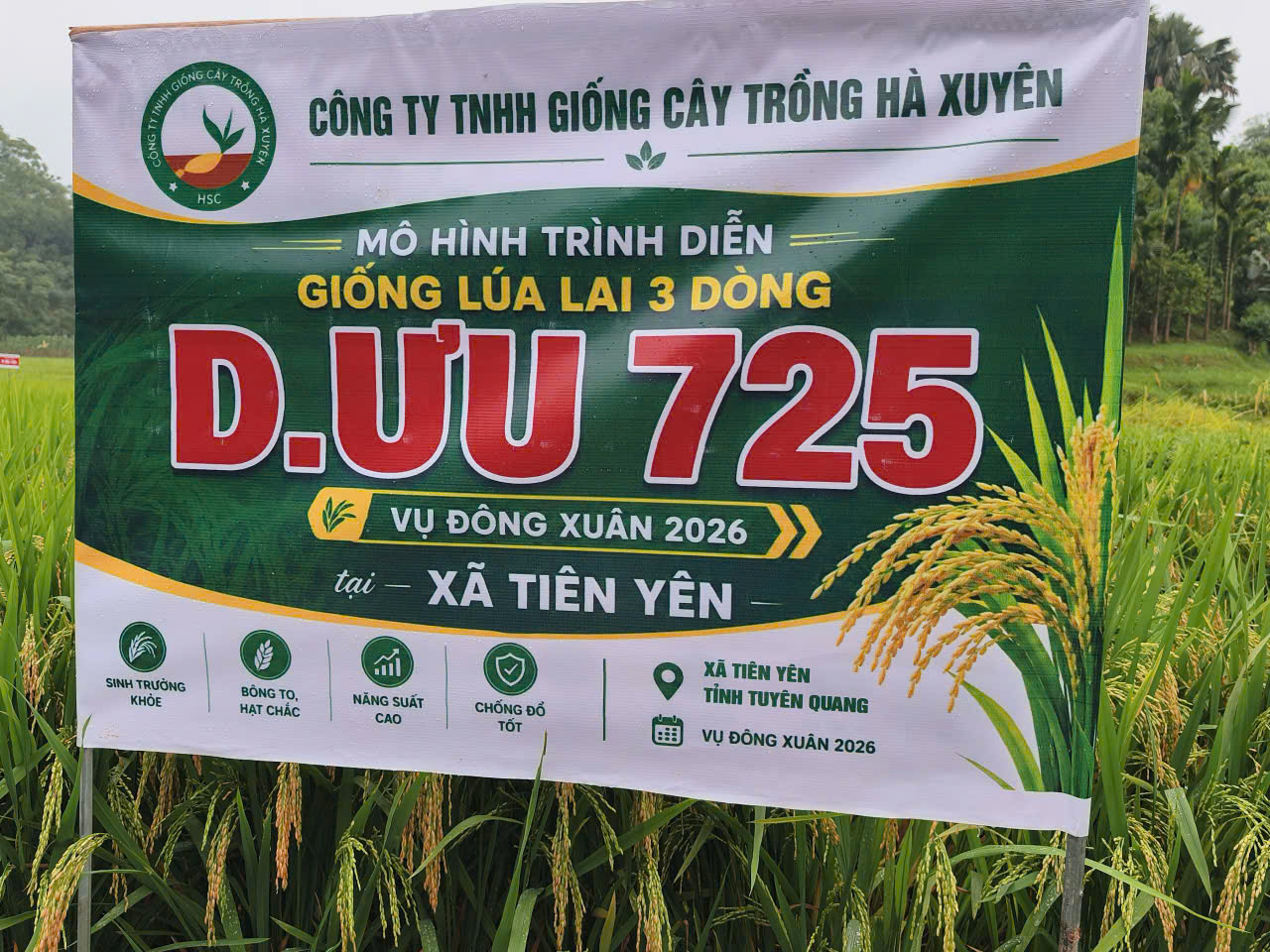 z7817643709575_5a2cf6de95e607738552059f5f8fb49b - Copy.jpg