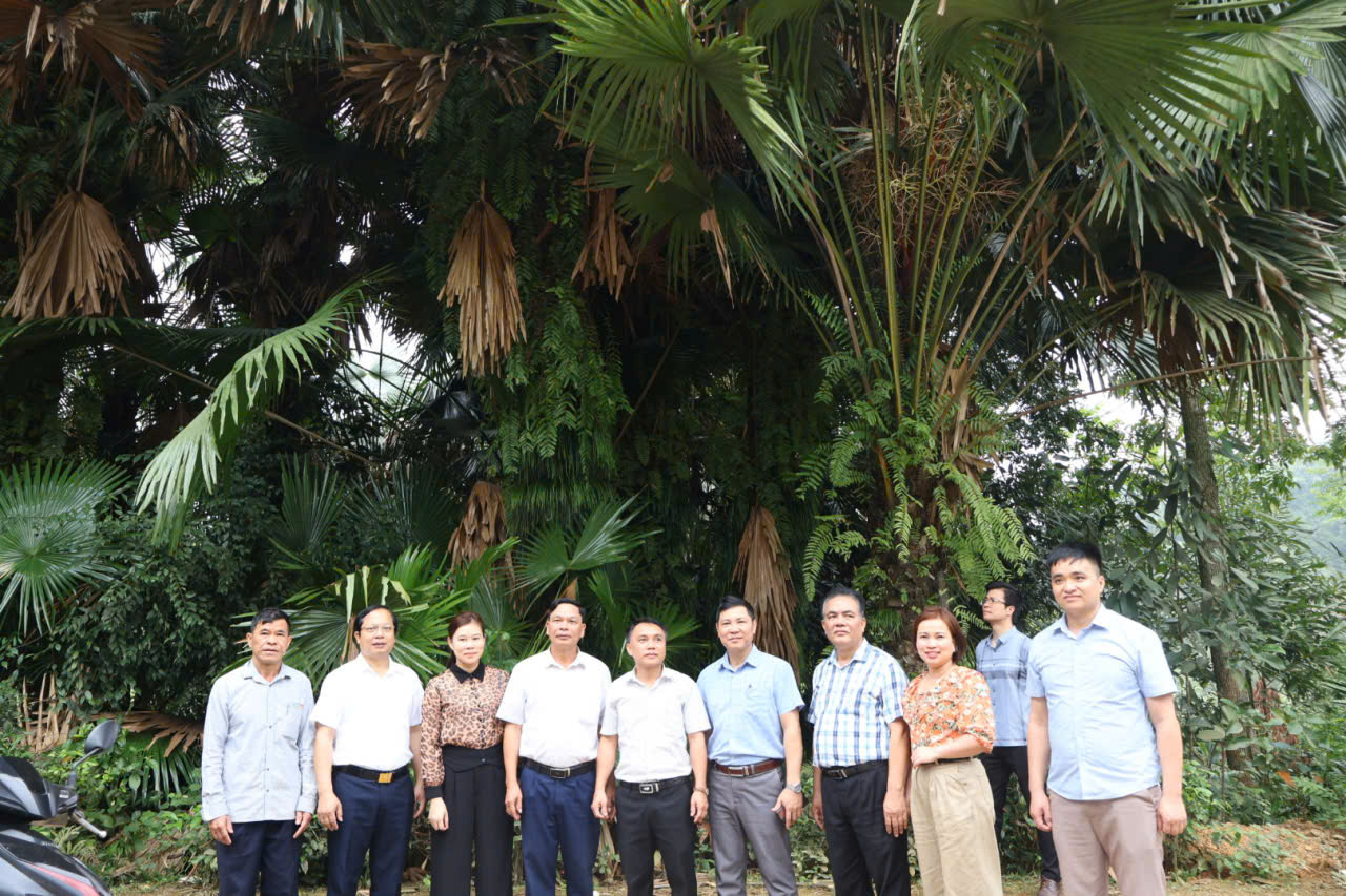 Kh sát tại V lậu cọ.jpg