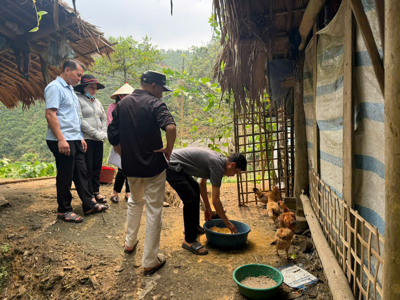 Xã Vĩnh Tuy nghiệm thu Dự án chăn nuôi gà ri lai cộng đồng, góp phần tạo sinh kế bền vững cho người dân