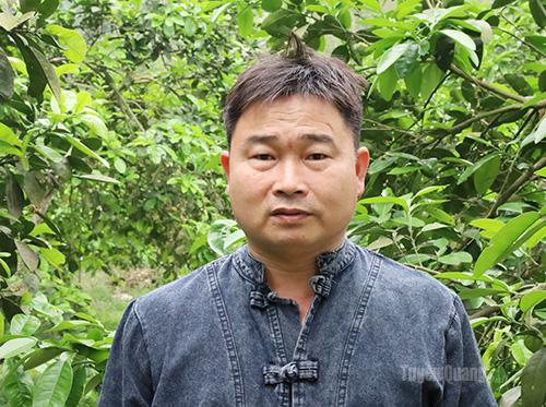 Mở đường cho bưởi Phúc Kiến