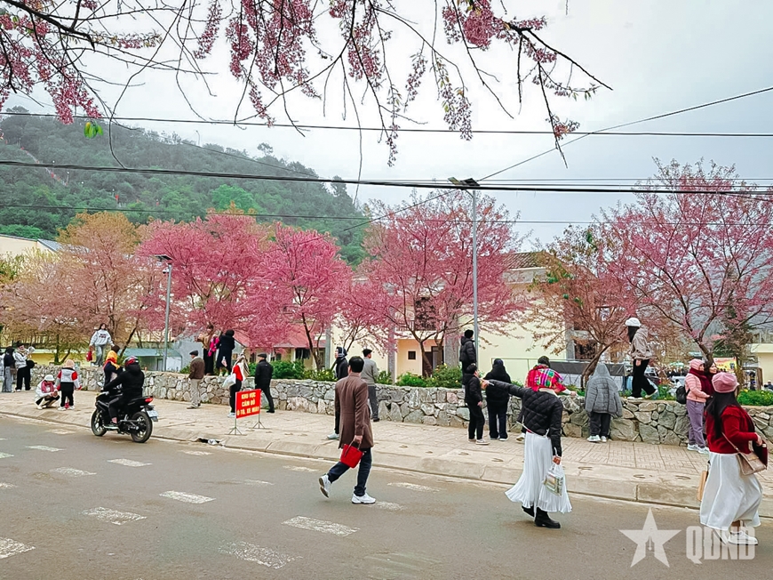 Năm mới trên vùng cao Tuyên Quang