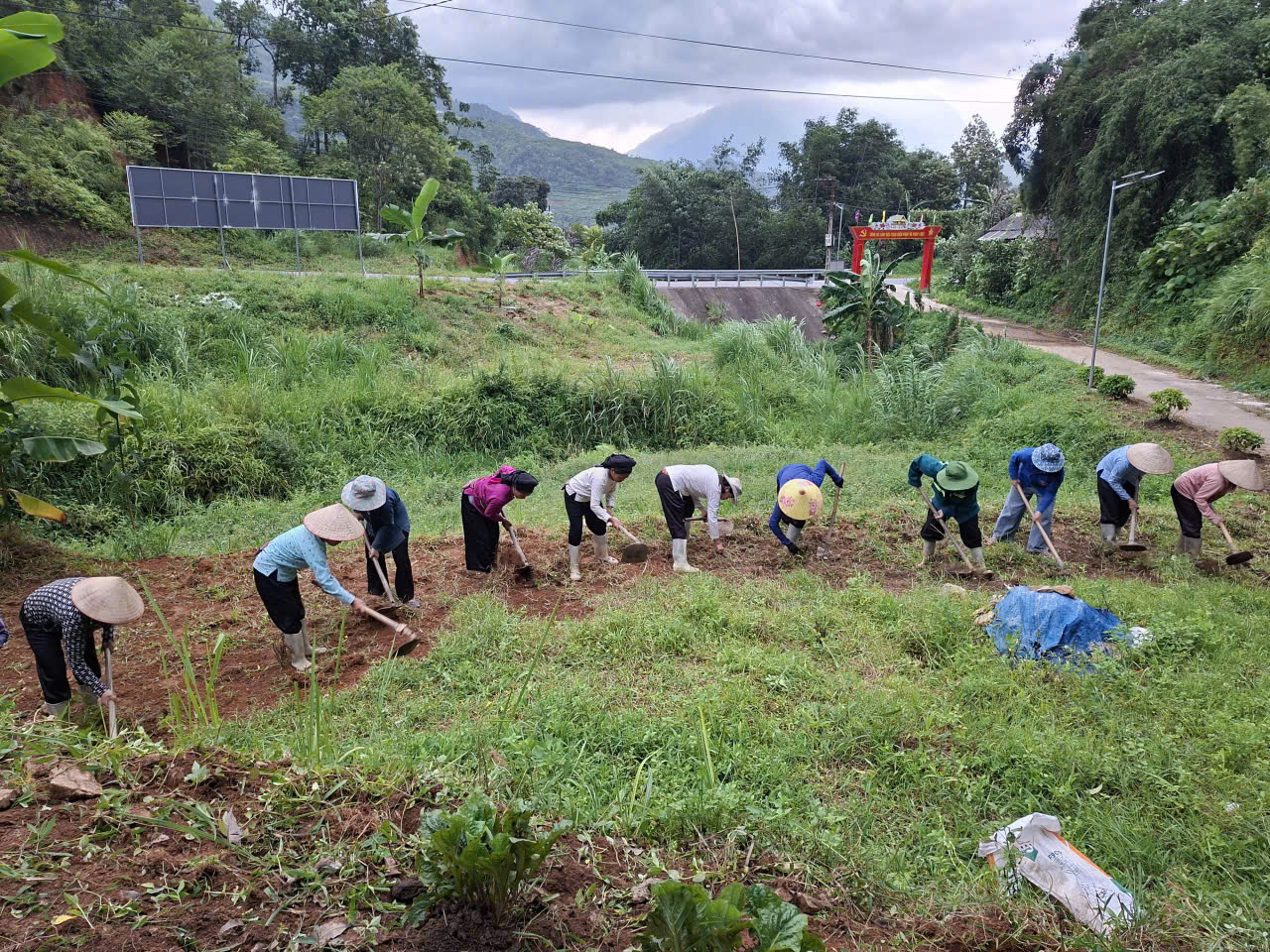 Hội liên hiệp phụ nữ xã tân tiến phối hợp Đoàn thanh niên tham gia chăm sóc cây cảnh tại khu vực chuyển đổi số