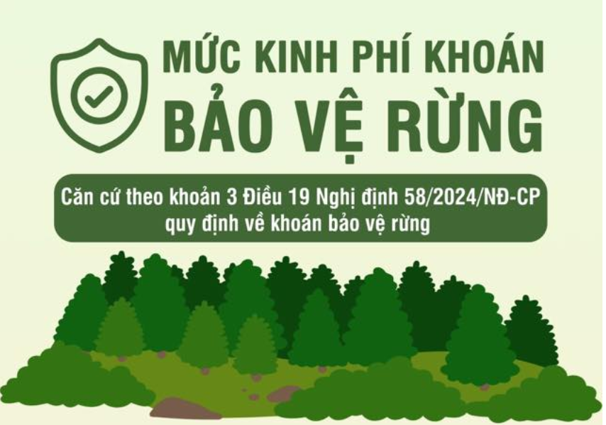 Mức kinh phí khoán bảo vệ rừng