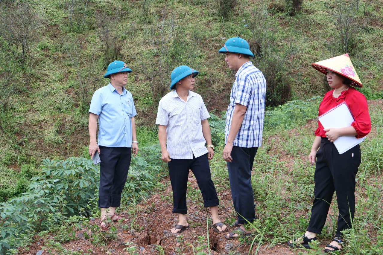 Khảo sát1.jpg