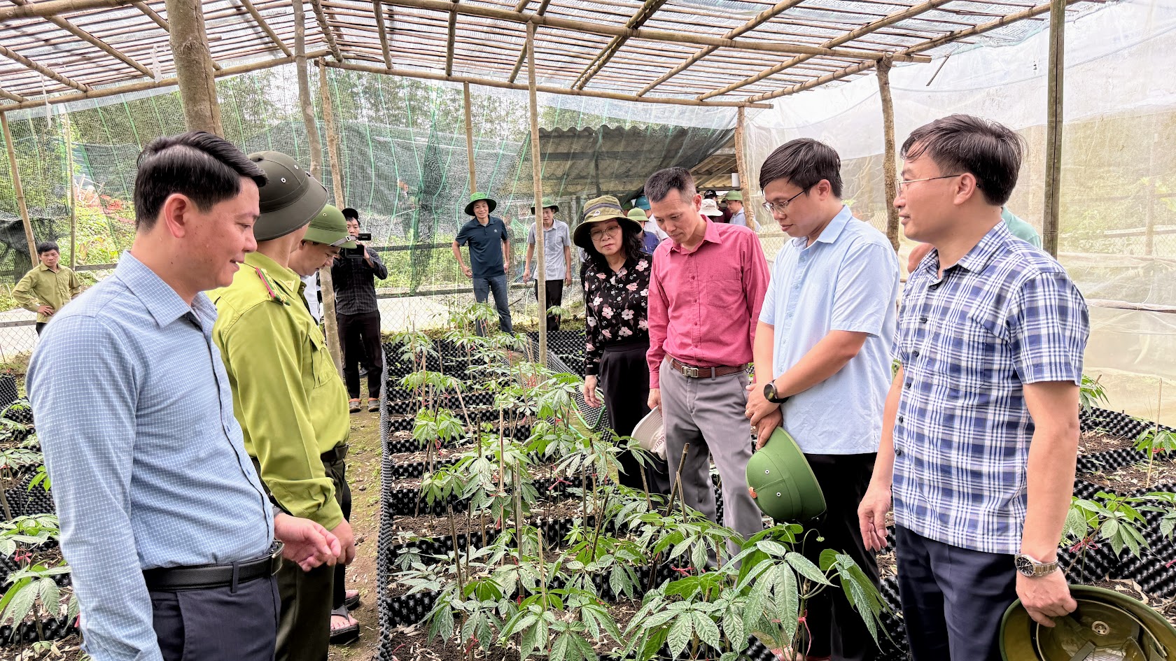 Hội nghị trao đổi về phát triển nông, lâm nghiệp bền vững, triển khai mô hình chuyển đổi giống cây trồng, vật nuôi ở Tân Quang