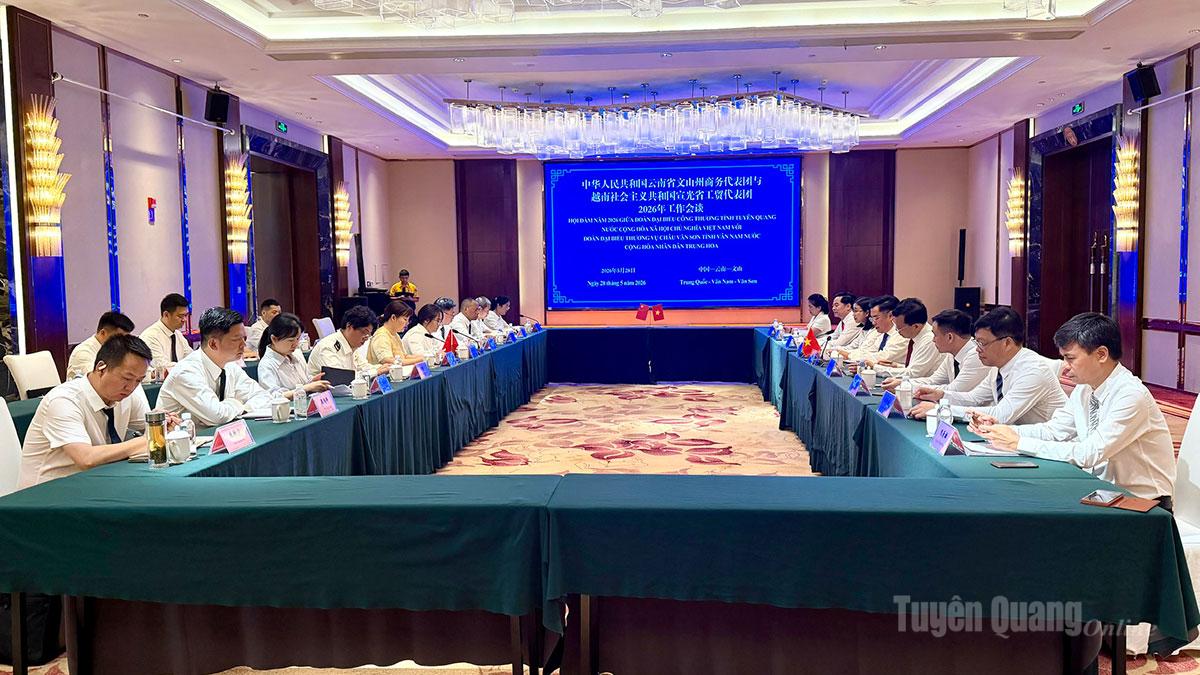 Hội đàm giữa Sở Công thương tỉnh Tuyên Quang và Cục Thương vụ châu Văn Sơn