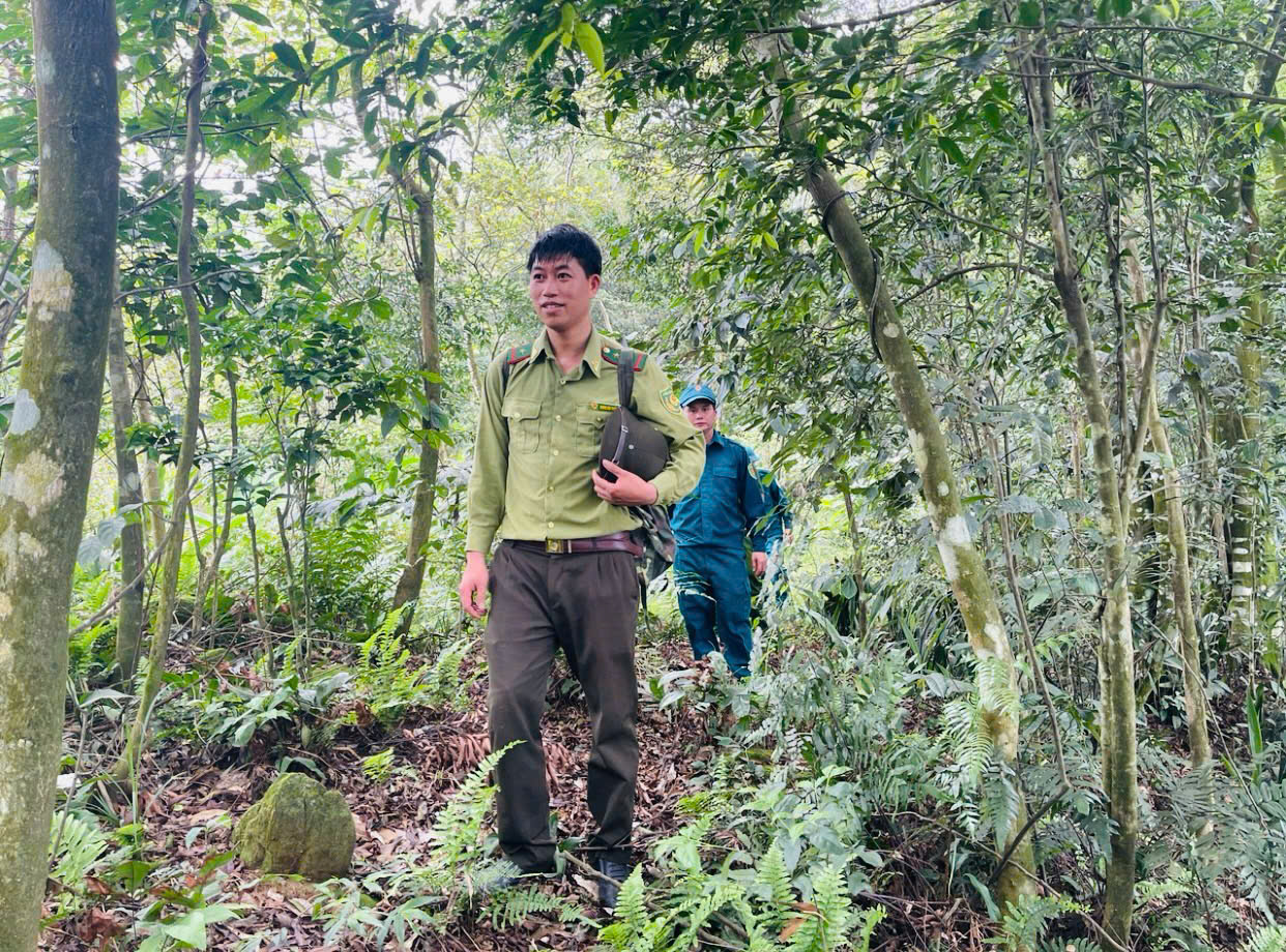 Bảo vệ rừng và phòng cháy, chữa cháy rừng trên địa bàn xã Hồng Sơn, tỉnh Tuyên Quang