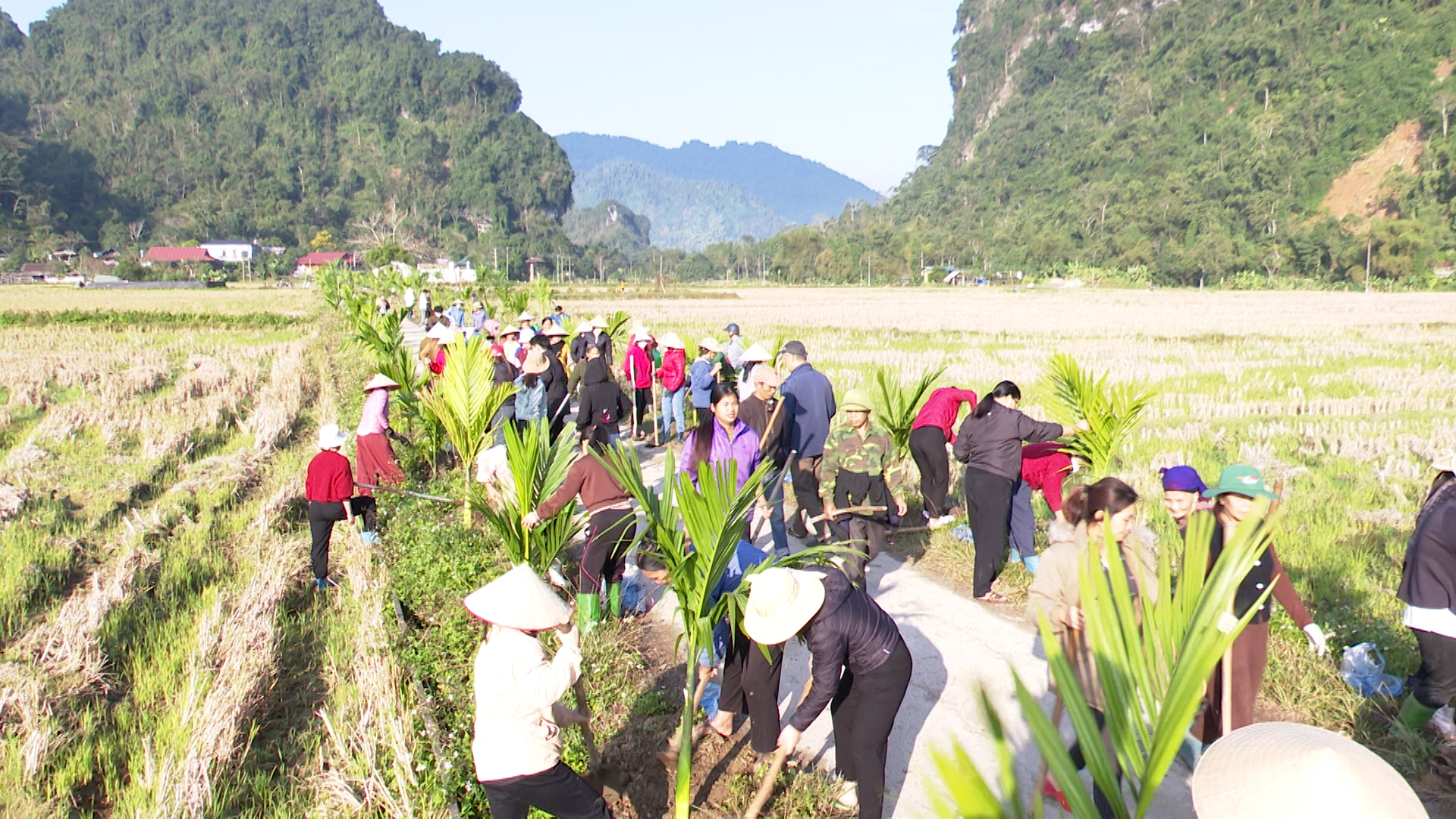  Xã Thượng Lâm tổ chức ra quân trồng cây xanh dọc tuyến đường liên thôn