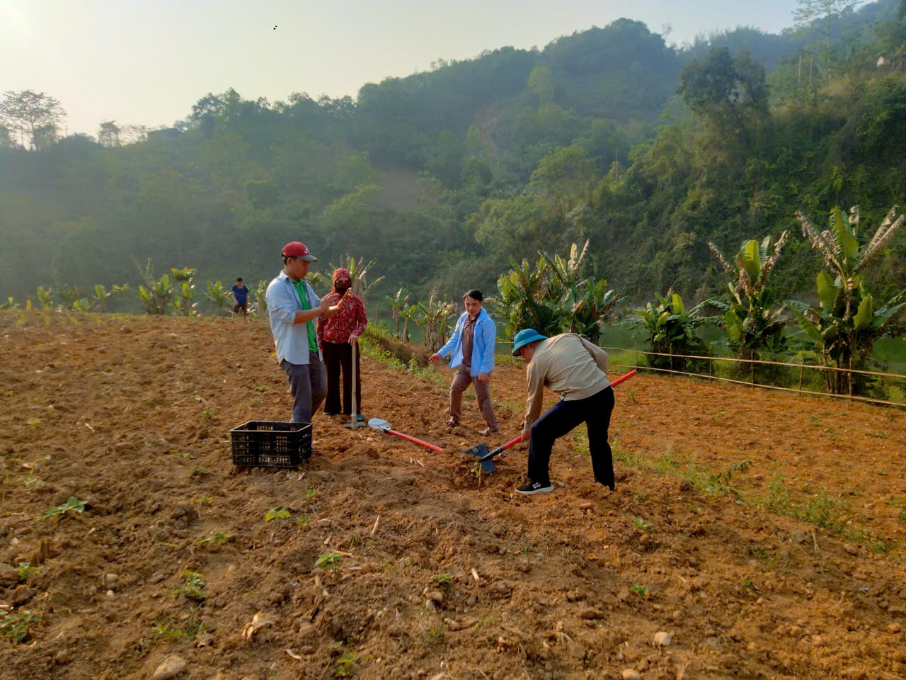 Xã Niêm Sơn tổ chức triển khai mô hình chuyển đổi giống cây trồng, vật nuôi mới, có giá trị kinh tế cao.