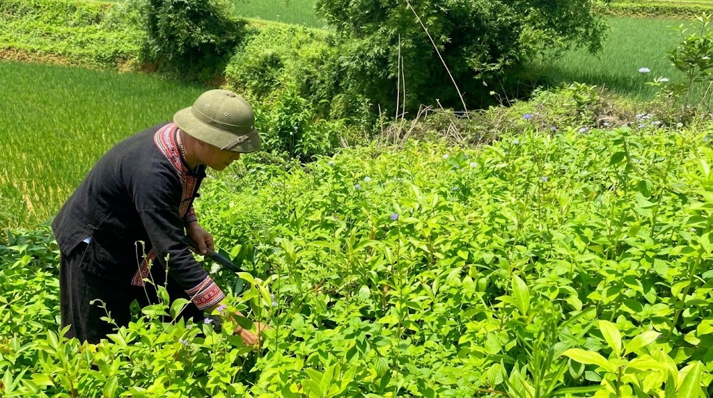 DÂN VẬN TỐT, CẢ THÔN CÙNG HƯỞNG LỢI