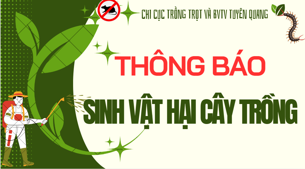 Báo cáo tình hình sinh vật gây hại cây trồng (từ ngày 27/2/2026 - 3/3/2026)