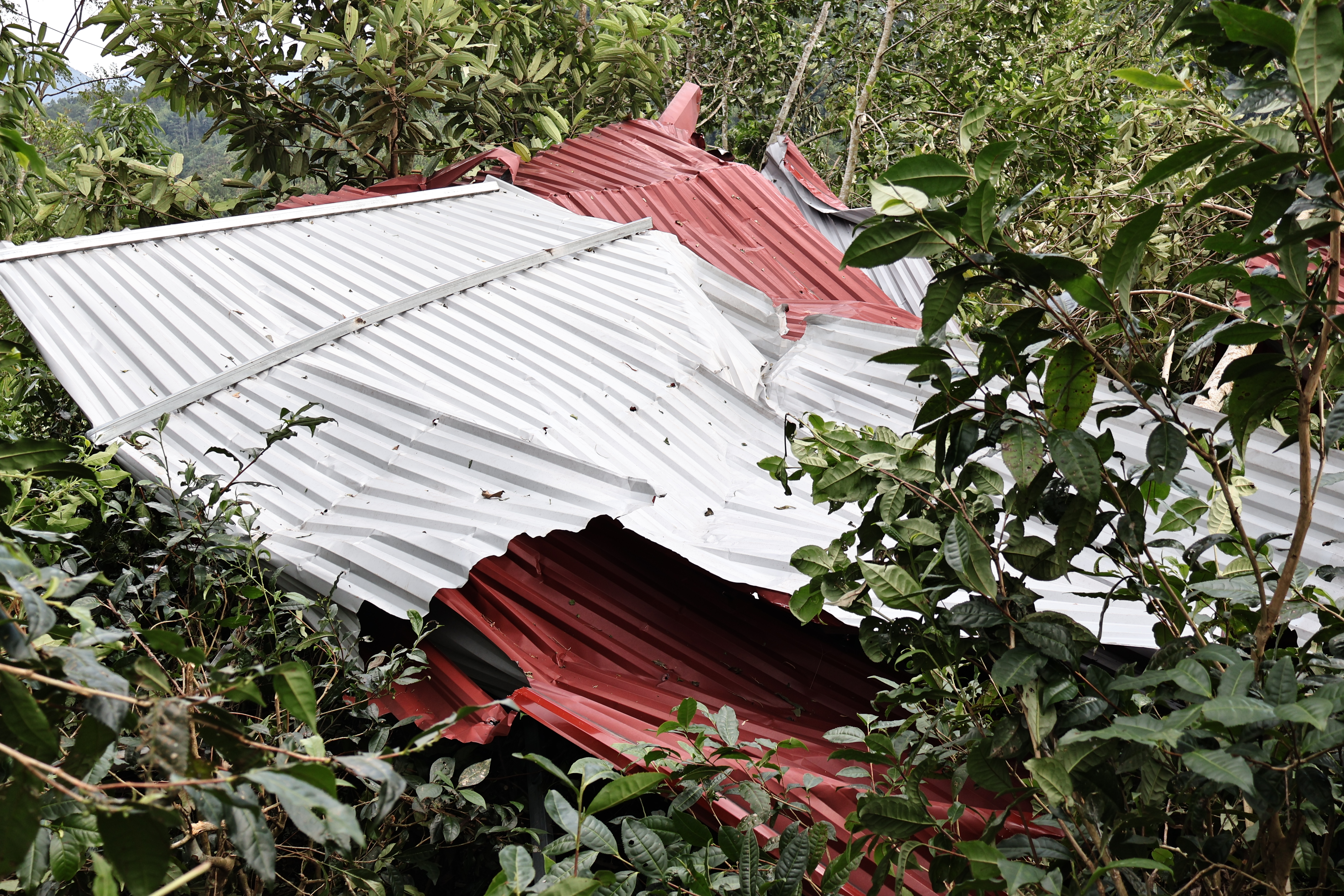 IMG_4239.JPG