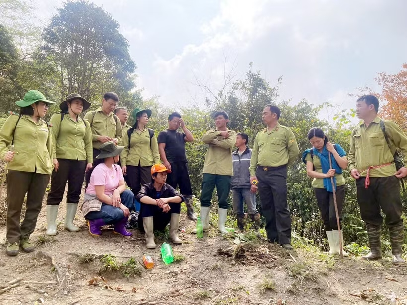 Tuyên Quang chỉ đạo tăng cường phòng cháy, chữa cháy rừng