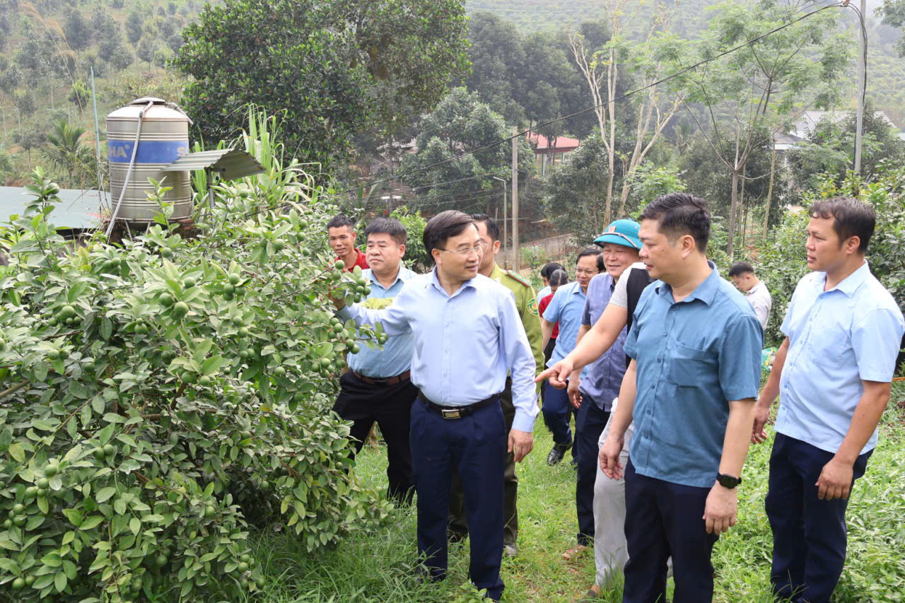 Thăm m&ocirc; h&igrave;nh chanh.jpg