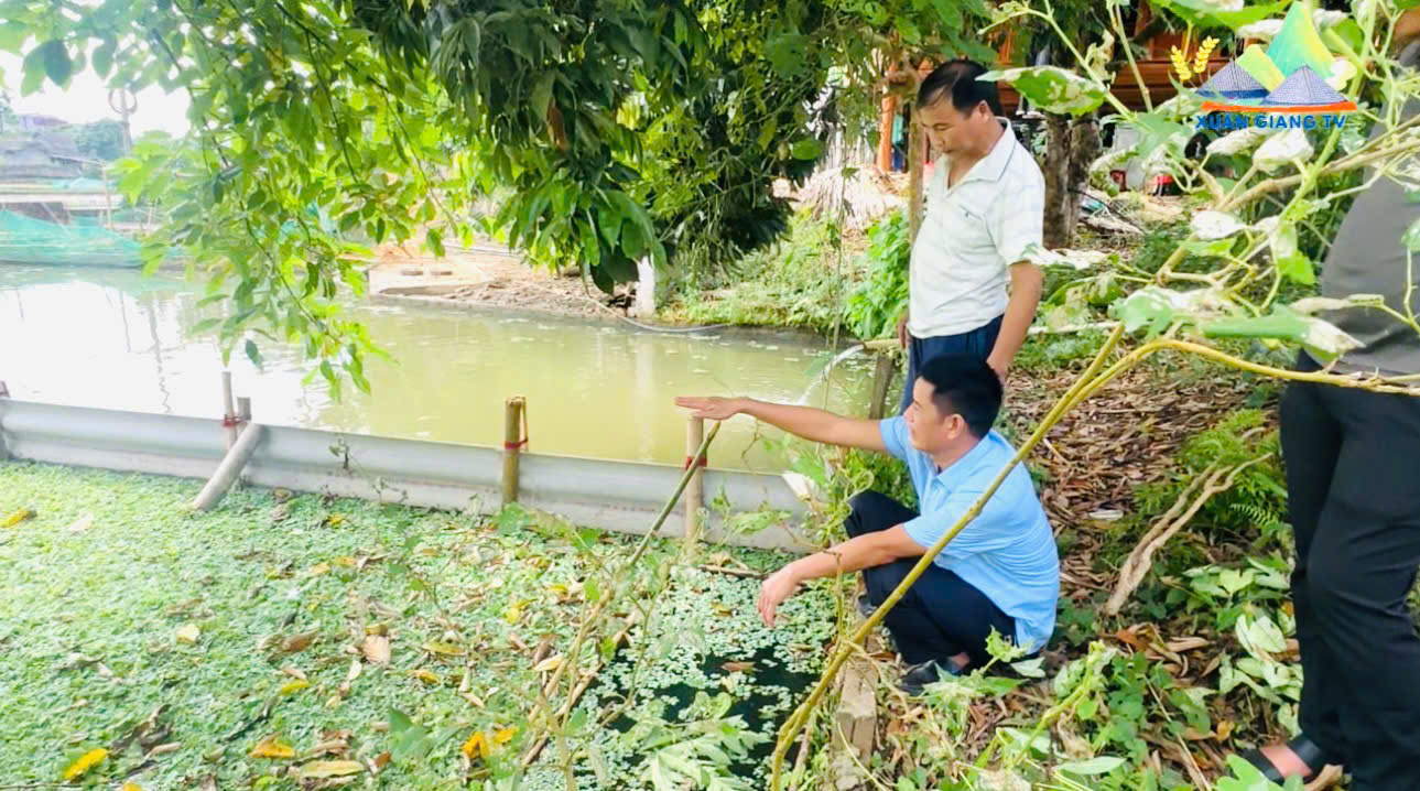 Lãnh đạo xã Xuân Giang kiểm tra mô hình nuôi ốc, nuôi cua tại thôn Chì và thôn Chang