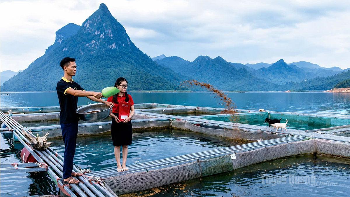 Giảm lãi suất hỗ trợ tăng trưởng