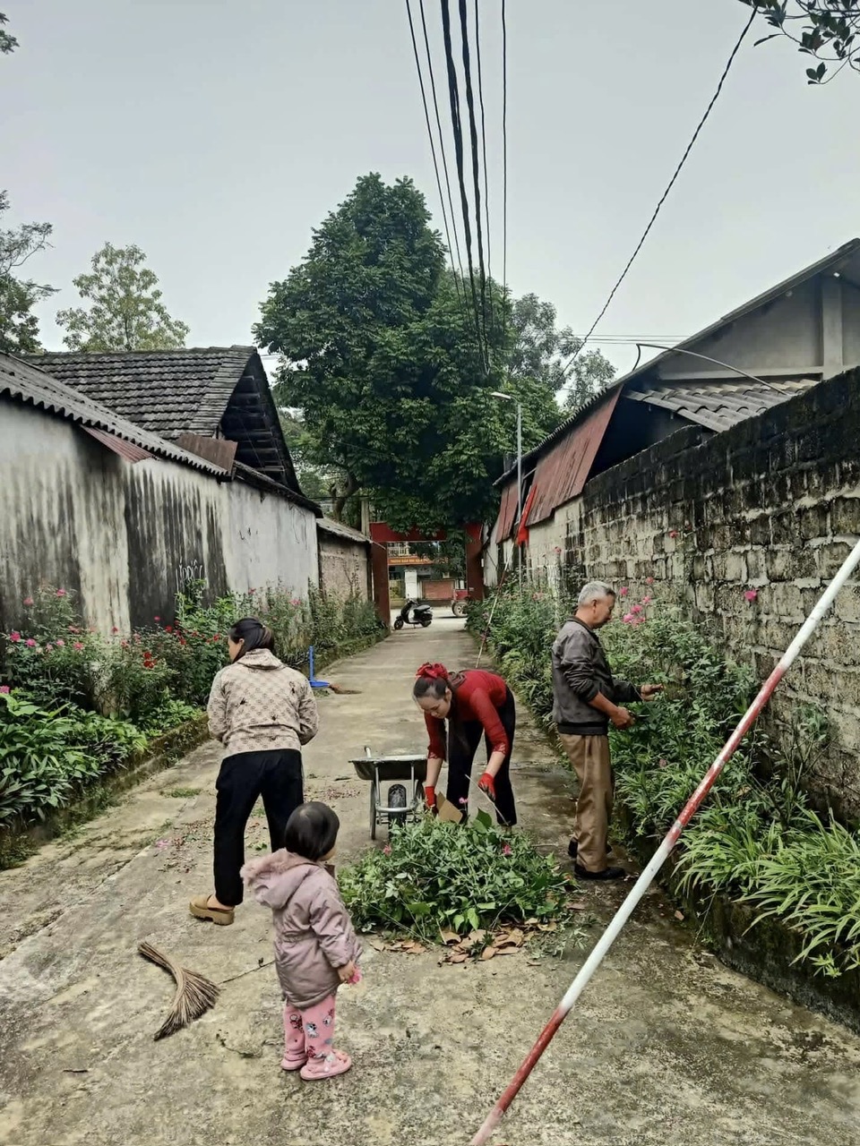 HPN vệ sinh.jpg