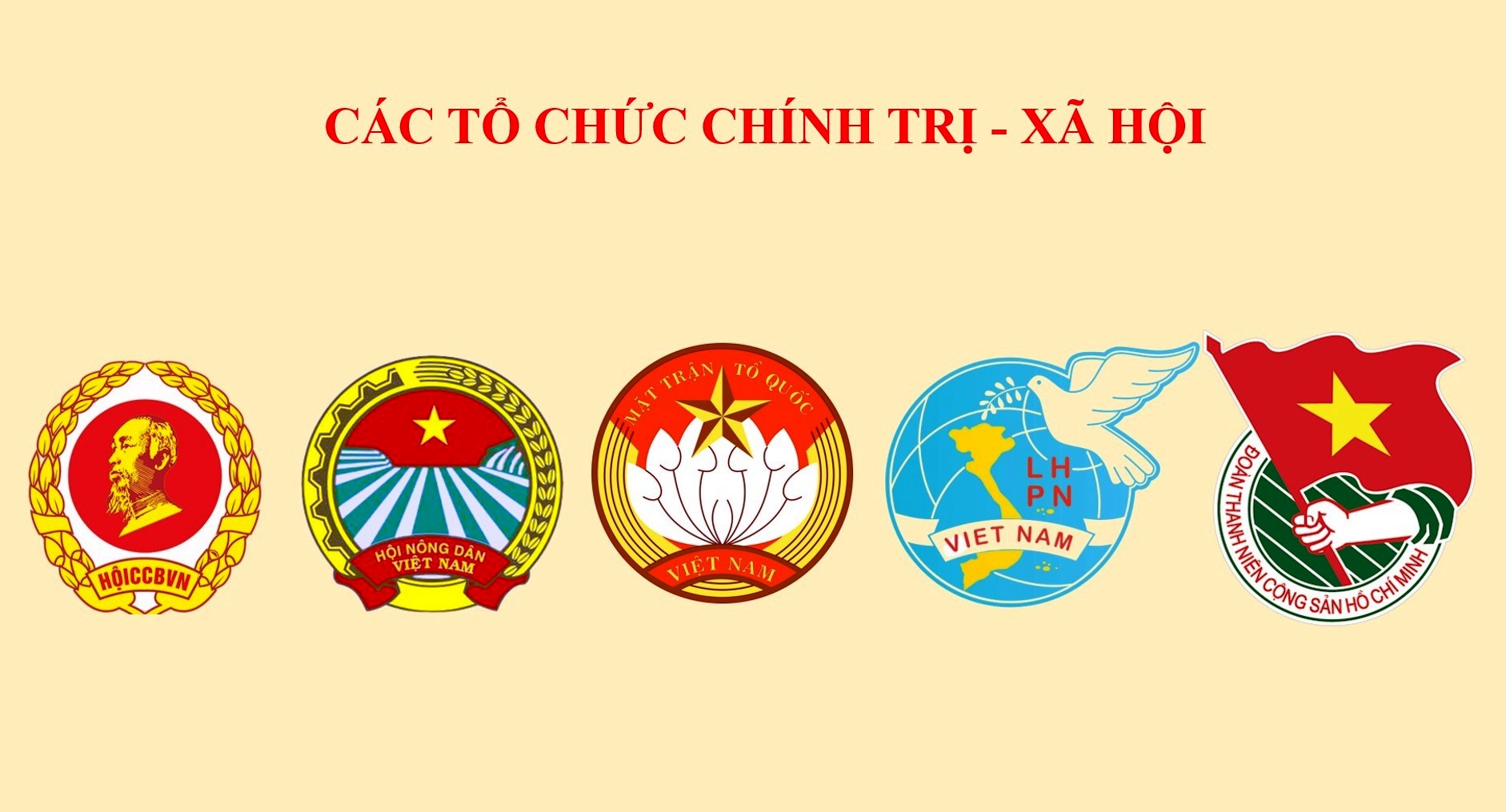 Các tổ chức Chính trị - xã hội
