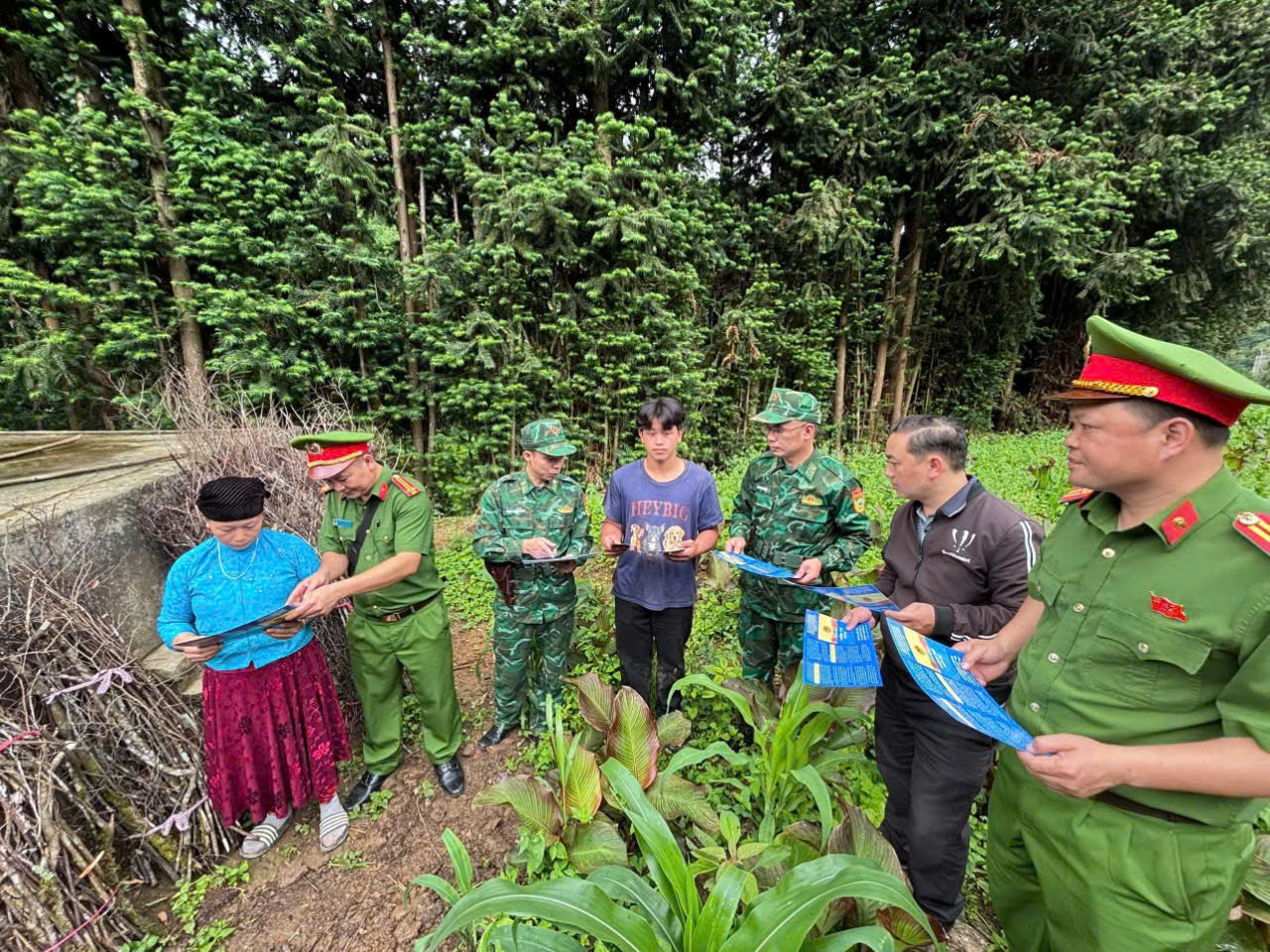 GIỮ BÌNH YÊN NƠI ĐÁ NỞ HOA