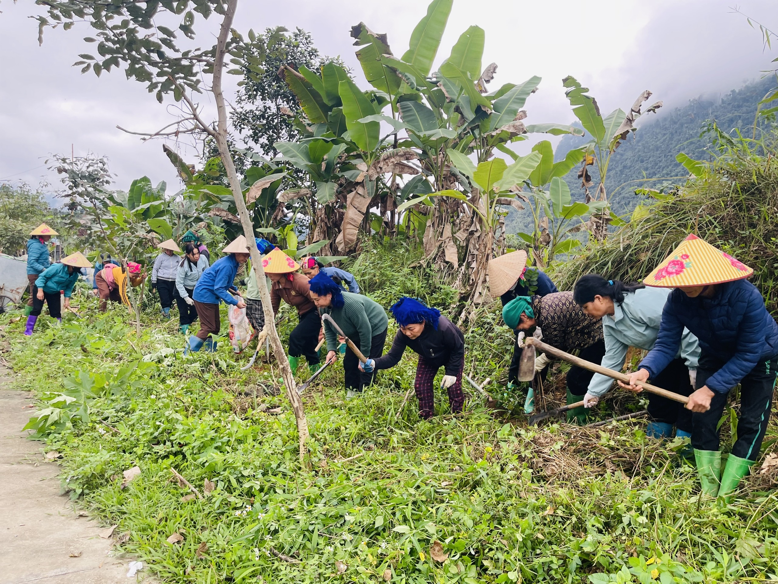 Phụ nữ xã Lâm Bình ra quân phát dọn, chăm sóc tuyến đường hoa 