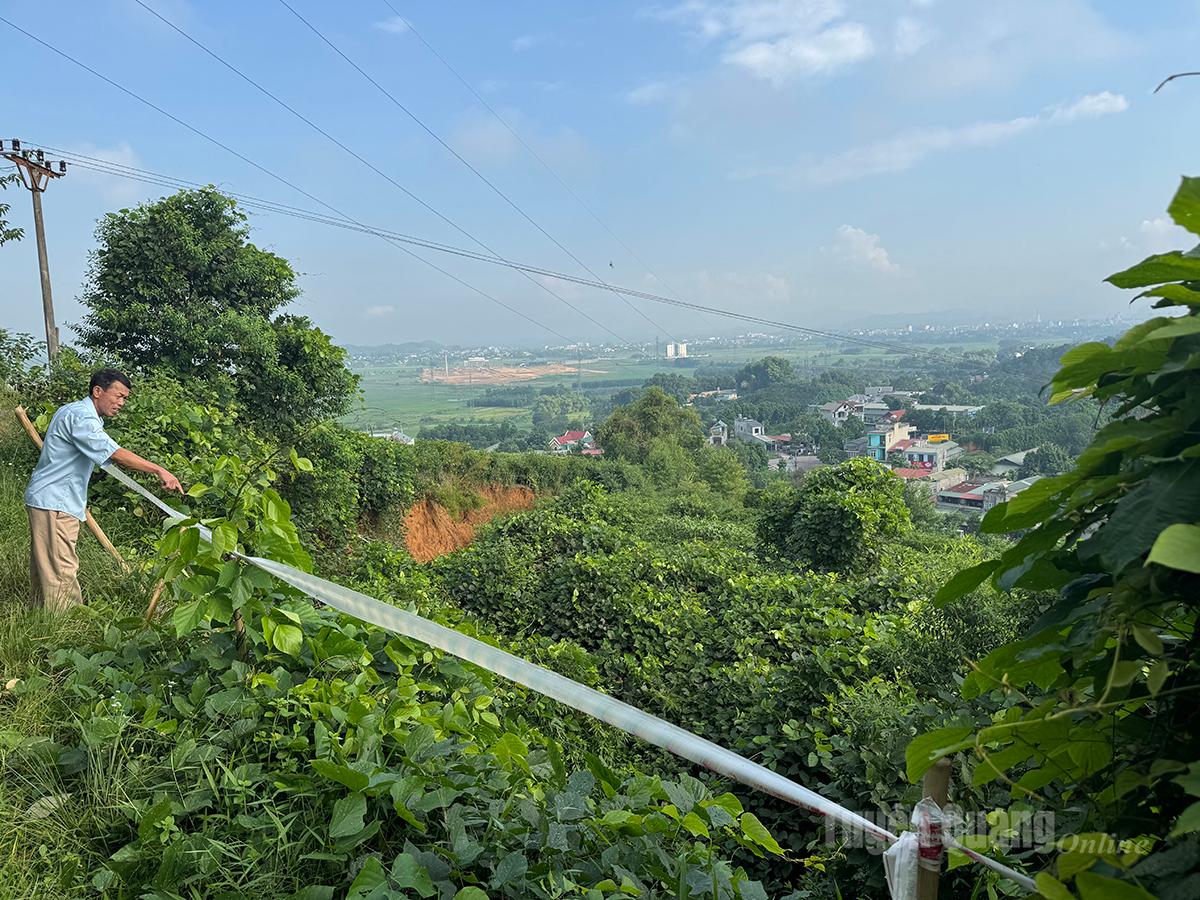 Công bố tình huống khẩn cấp thiên tai tại các tổ dân phố 10, 11 phường An Tường