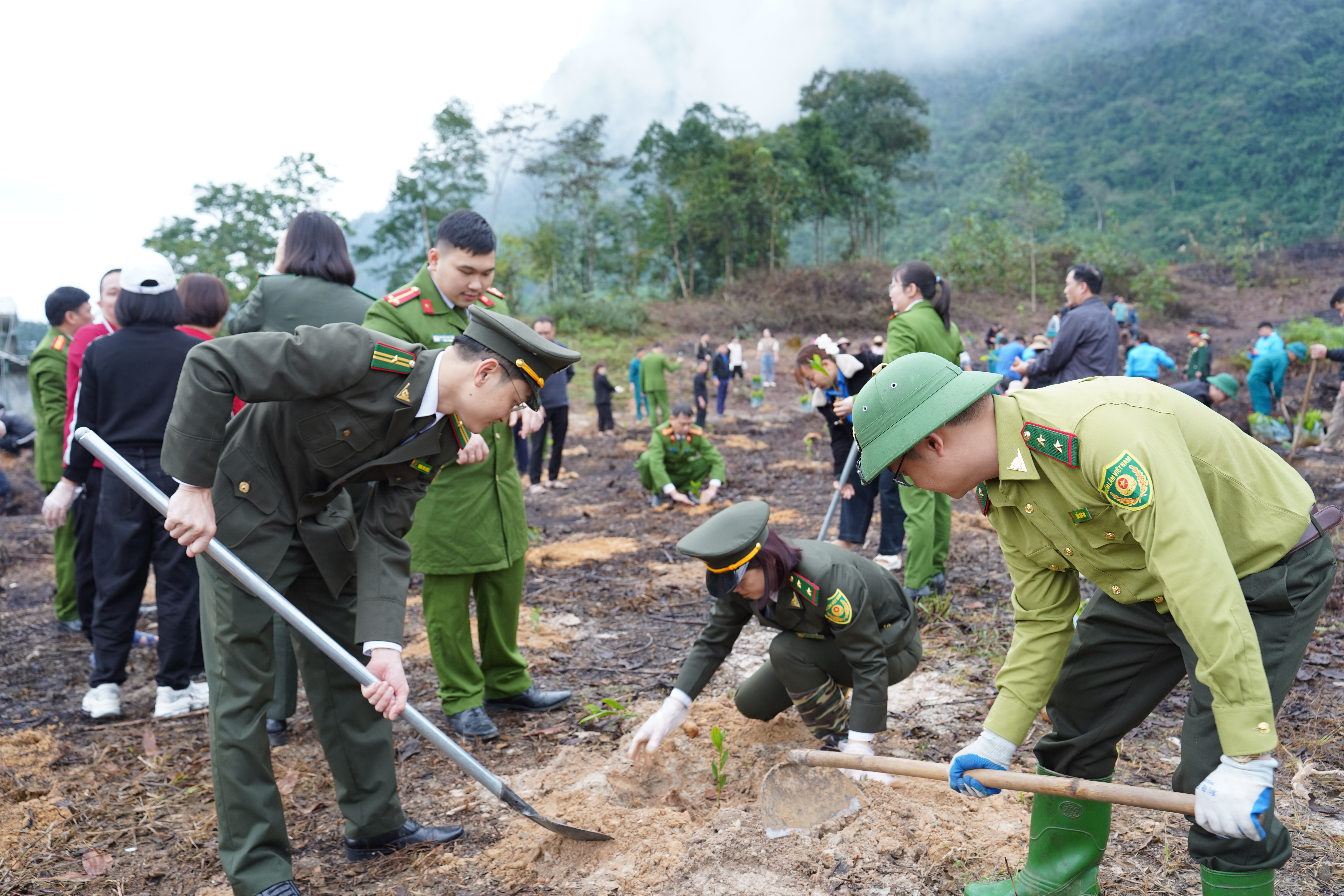 Trồng c&acirc;y 6.JPG