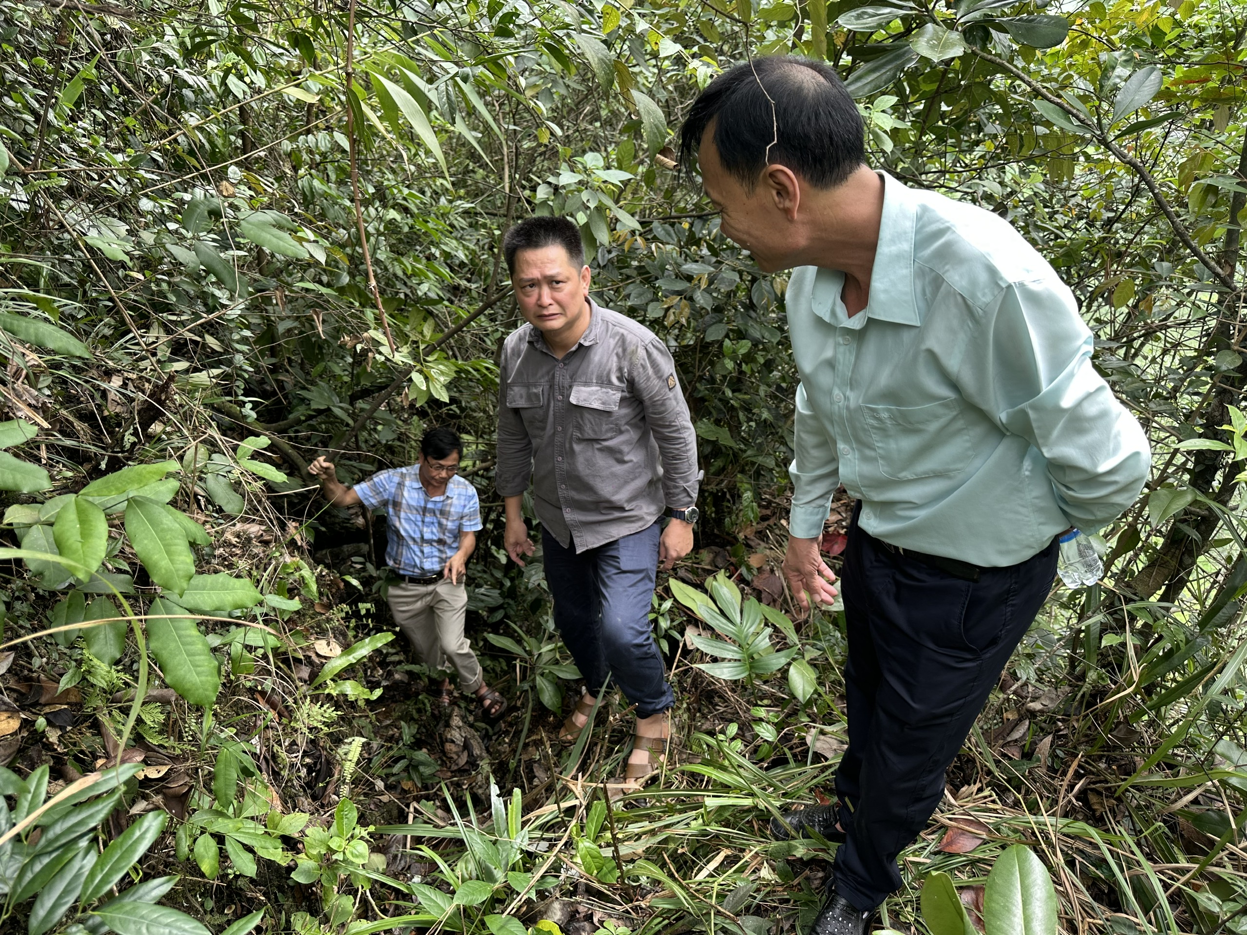 Đoàn công tác thuộc Sở Nông nghiệp và Môi trường tỉnh Tuyên Quang khảo sát điểm sạt lở tại xã Nghĩa Thuận