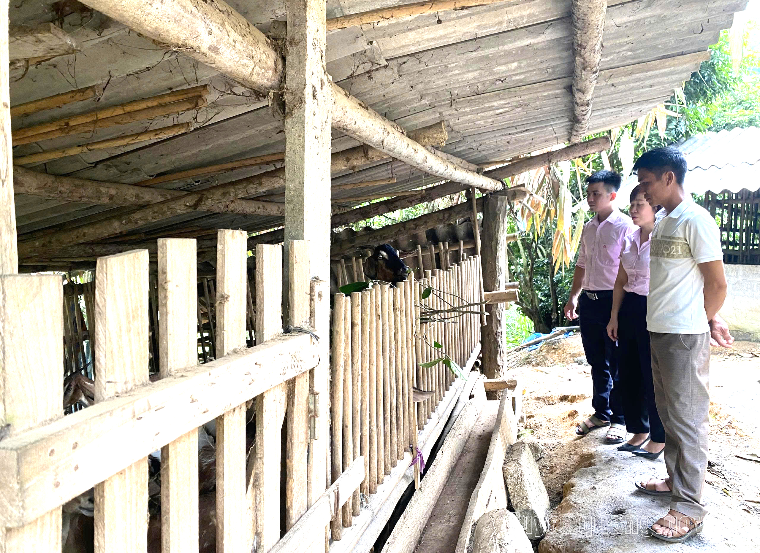Tạo sinh kế, tiếp sức người dân vươn lên thoát nghèo