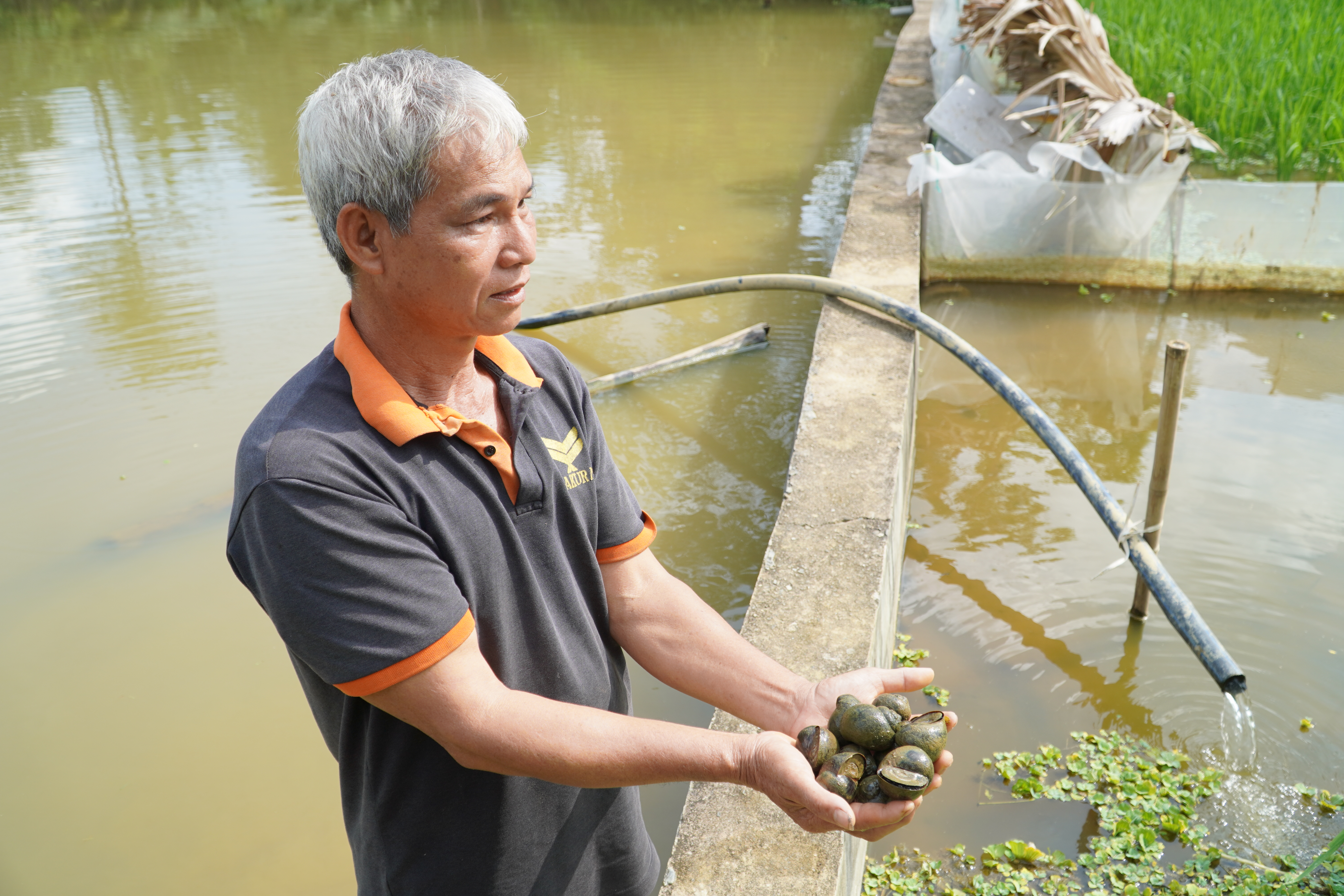 Ông Mương Ngọc Thắng - nông dân tiêu biểu trong phát triển kinh tế từ nuôi cua, ốc