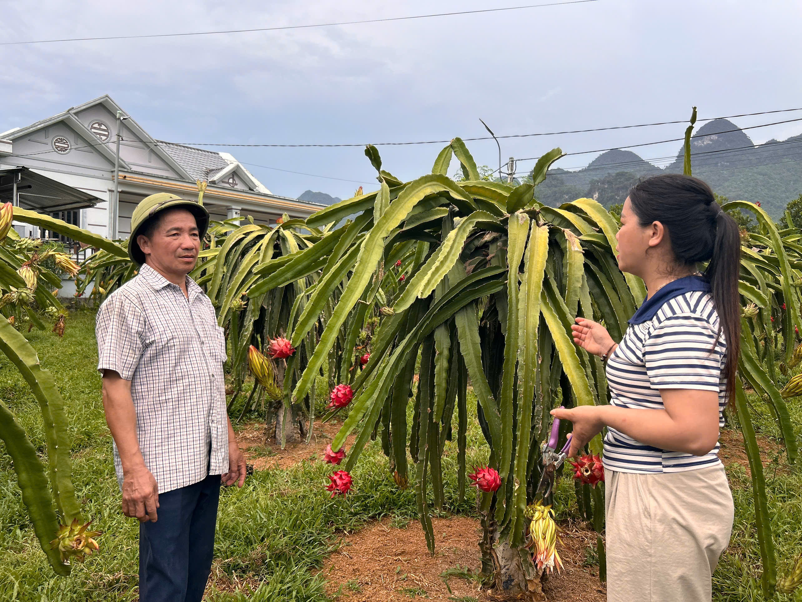 Người tổ trưởng 22 năm “nói dân nghe, làm dân tin”.