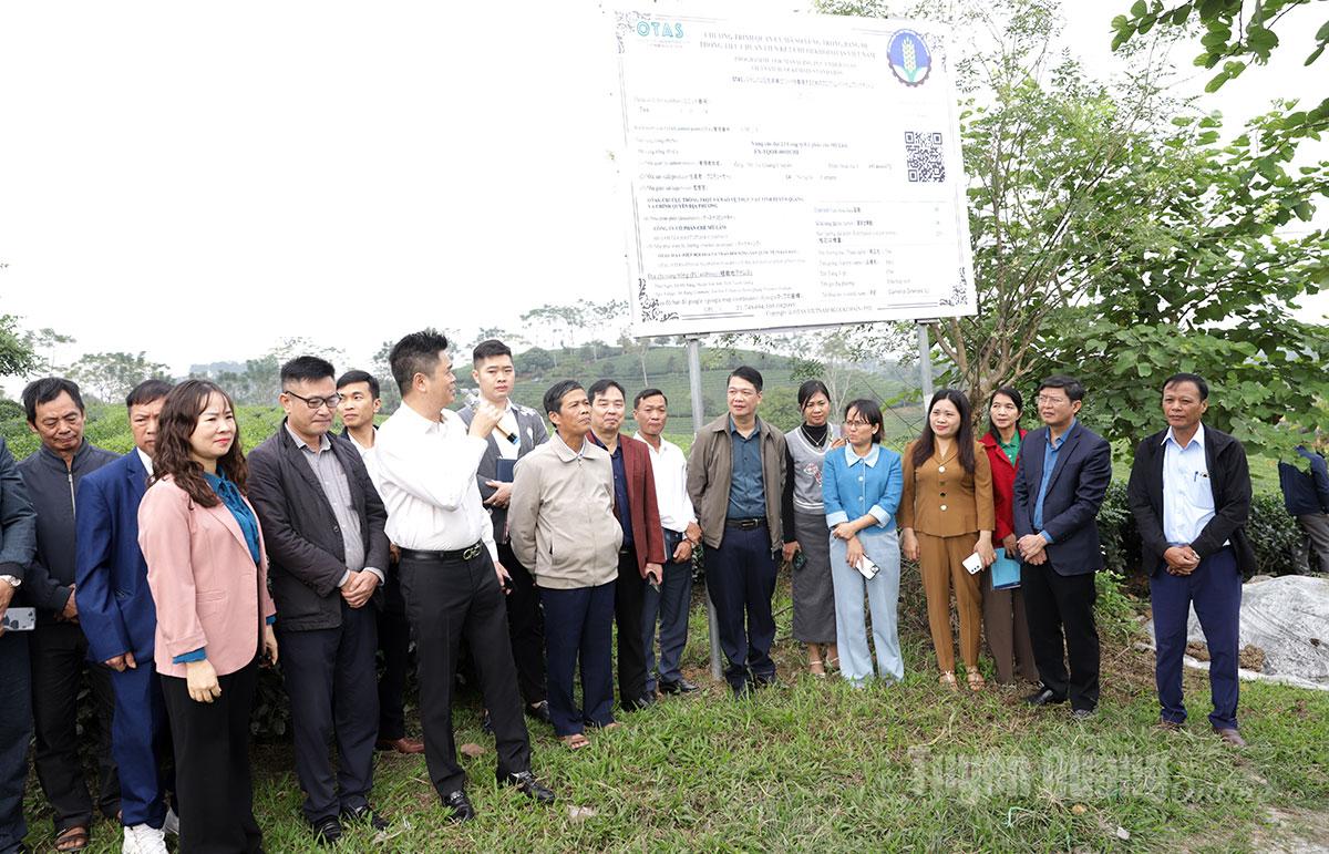 5 mô hình sản xuất nông nghiệp được cấp và quản lý mã số vùng trồng bằng hệ thống tiêu chuẩn OTAS