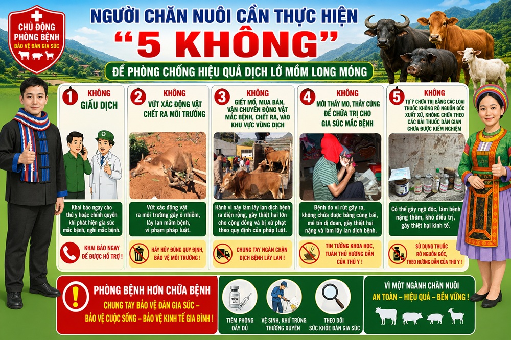 PHÒNG, CHỐNG BỆNH LỞ MỒM LONG MÓNG TRÊN ĐÀN GIA SÚC