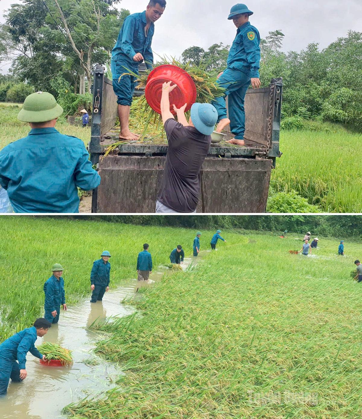 Khẩn trương khôi phục sản xuất sau bão số 10