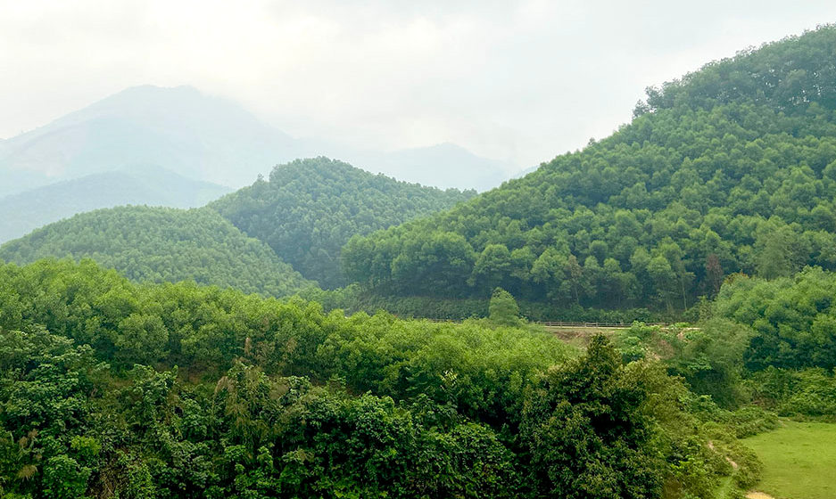 Hiệu quả từ dịch vụ môi trường rừng ở Tuyên Quang