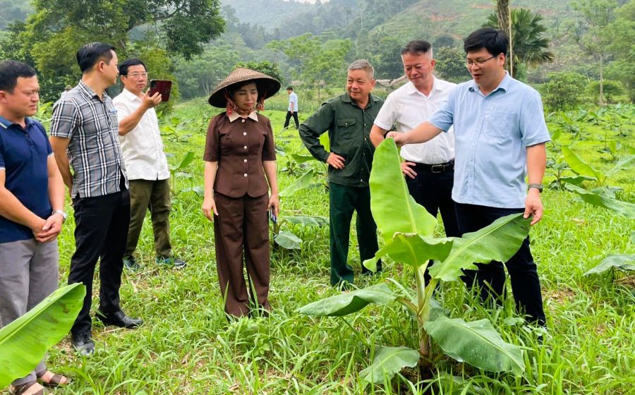 Đoàn công tác xã Bằng Lang thăm quan, học tập các mô hình phát triển kinh tế tại xã Đồng Yên