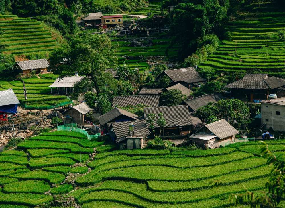 Đến Tả Van - một trong những ngôi làng đẹp nhất Châu Á mùa lúa chín