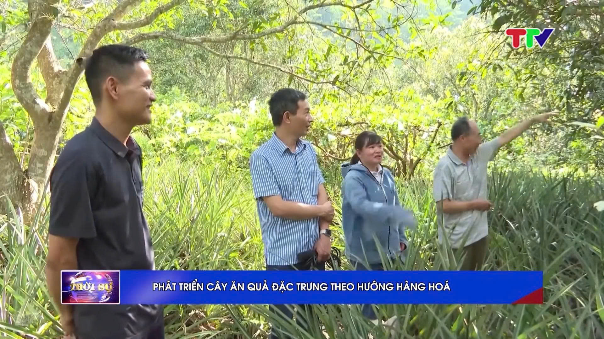 PHÁT TRIỂN CÂY ĂN QUẢ ĐẶC TRƯNG THEO HƯỚNG HÀNG HOÁ